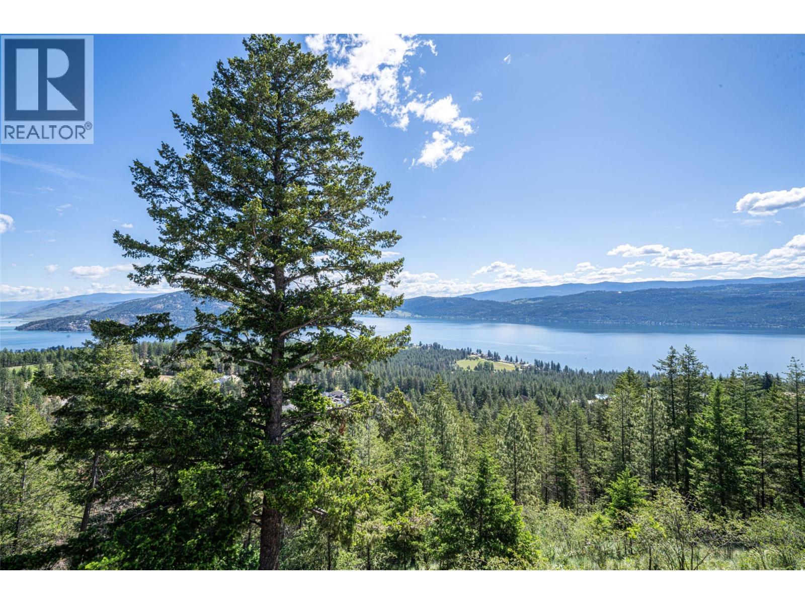 132 Crown Crescent, Vernon, British Columbia  V1H 2C3 - Photo 38 - 10388635