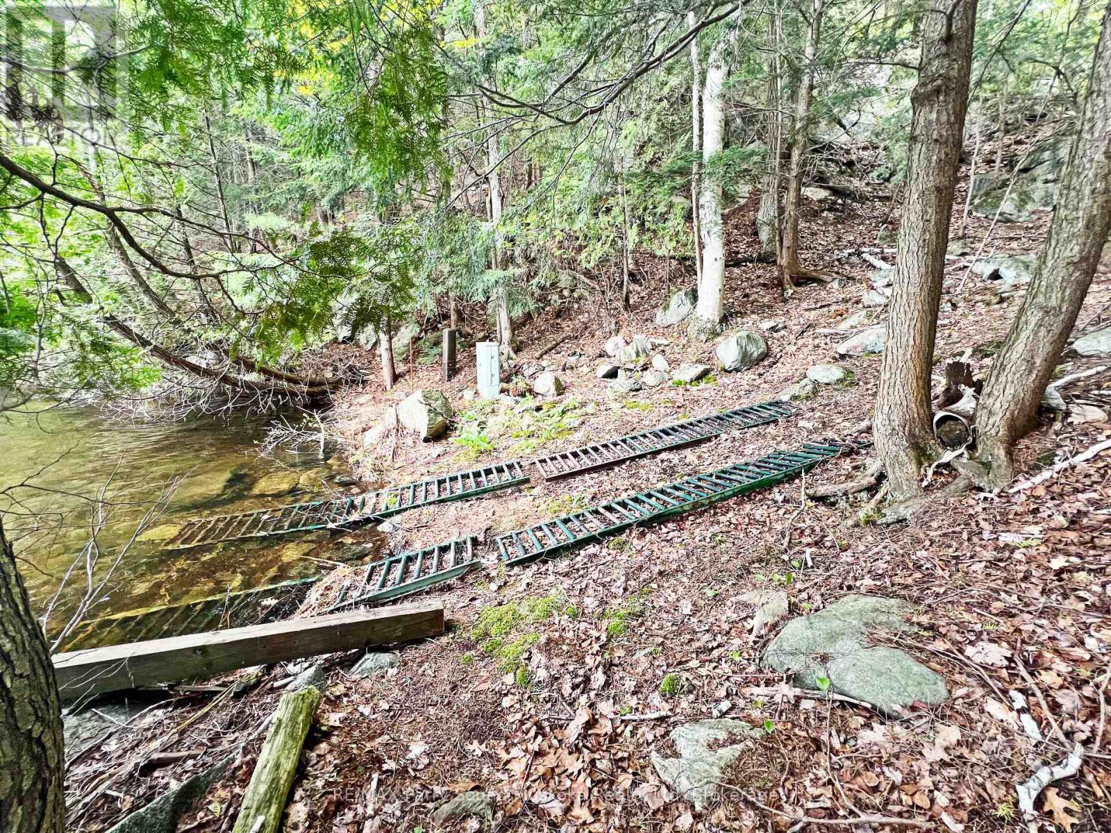 825 Otter Lake Wa 128, Seguin, Ontario  P2A 0B2 - Photo 27 - X13210122