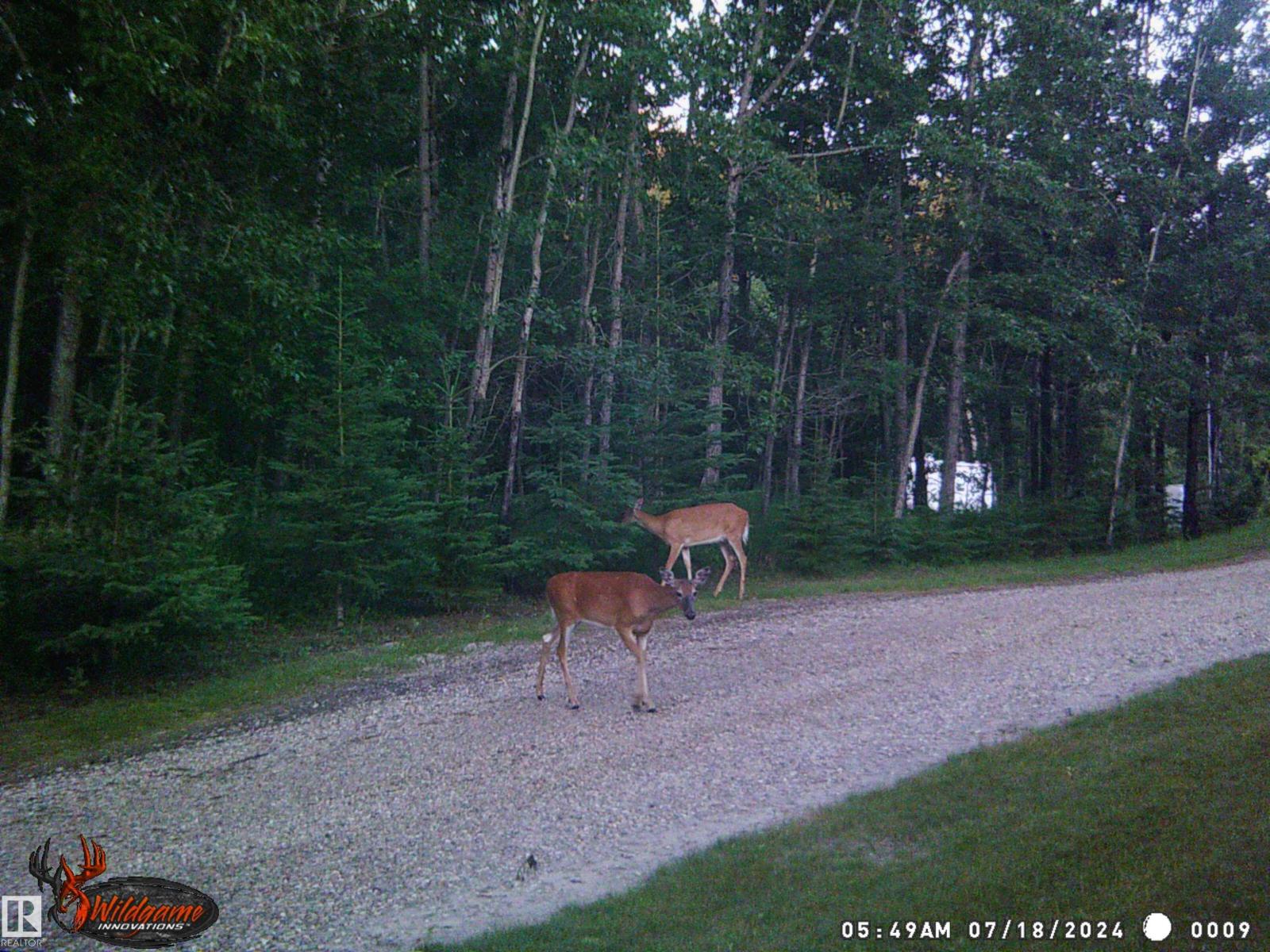 60550 Hwy 855, Rural Smoky Lake County, Alberta  T0A 3C0 - Photo 38 - E4490503
