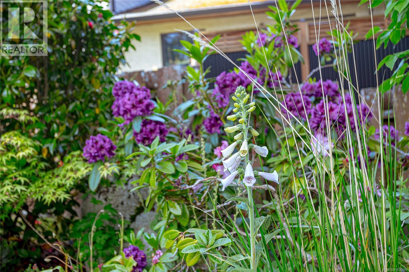 1830 Pastel Cres, Central Saanich, British Columbia  V8M 1N6 - Photo 33 - 1038440