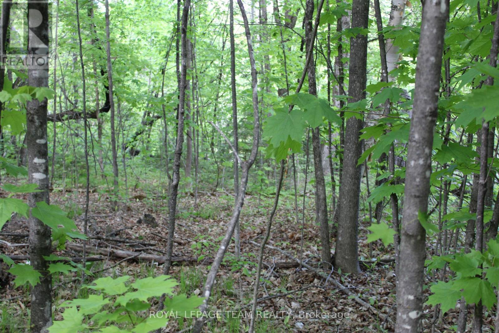 112 Mitchell Lane, Mcnab/braeside, Ontario  K7S 3G8 - Photo 11 - X13210422