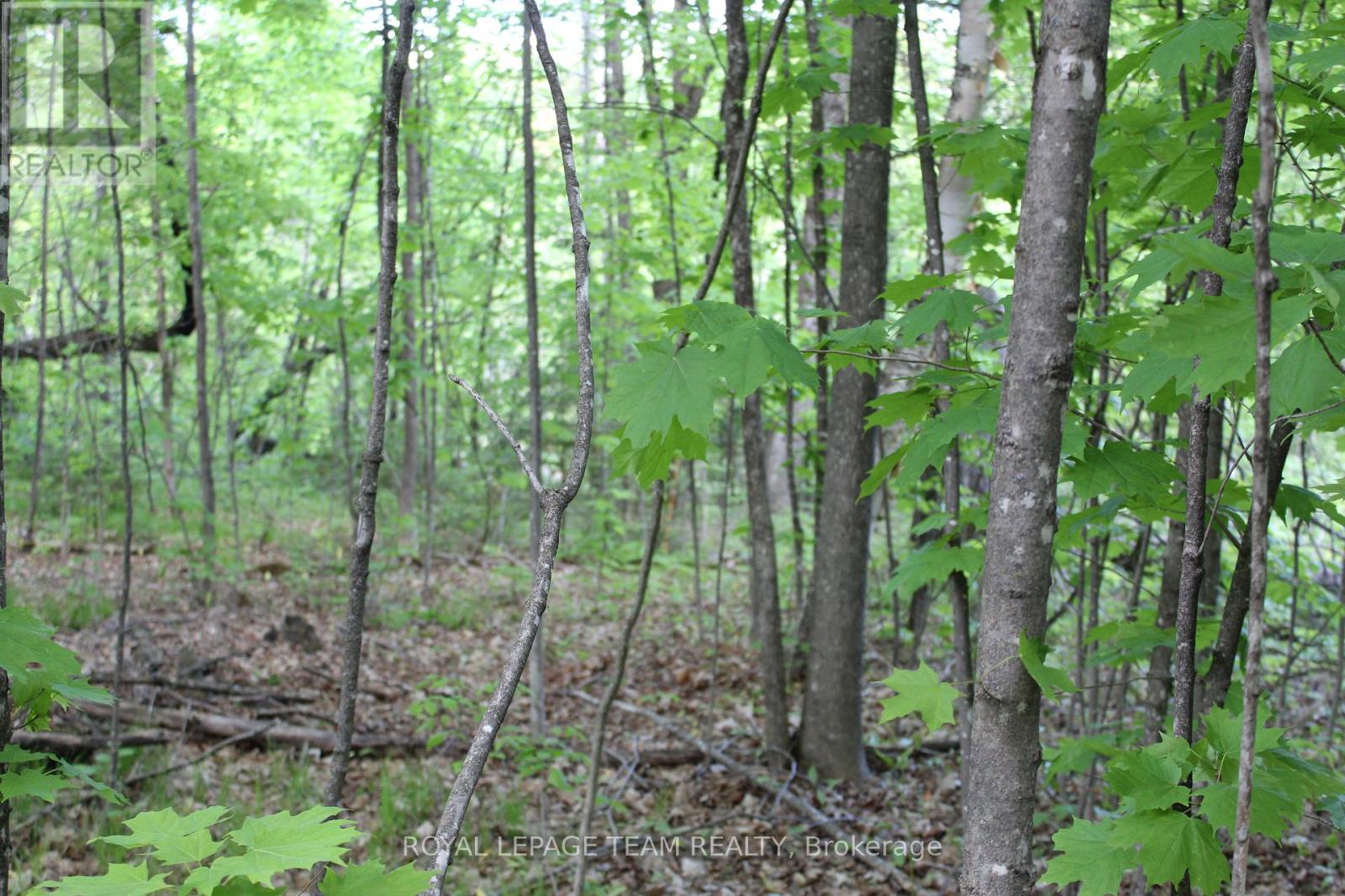 112 Mitchell Lane, Mcnab/braeside, Ontario  K7S 3G8 - Photo 15 - X13210422