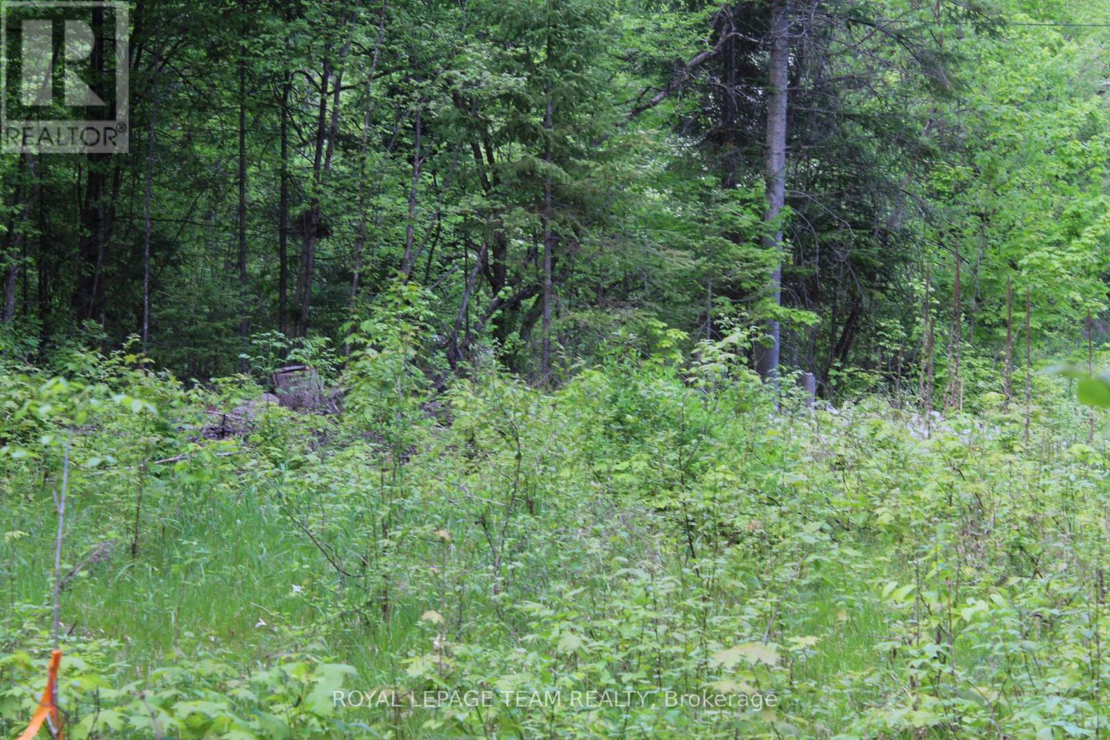 112 Mitchell Lane, Mcnab/braeside, Ontario  K7S 3G8 - Photo 5 - X13210422