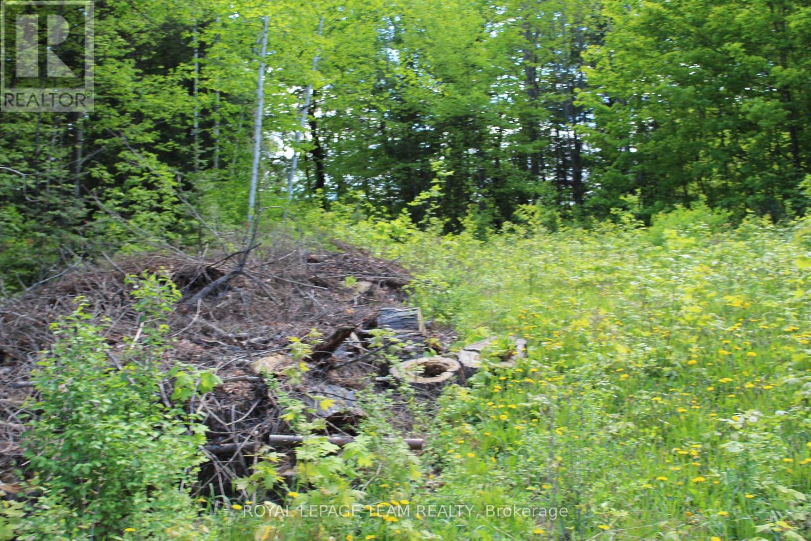112 Mitchell Lane, Mcnab/braeside, Ontario  K7S 3G8 - Photo 7 - X13210422
