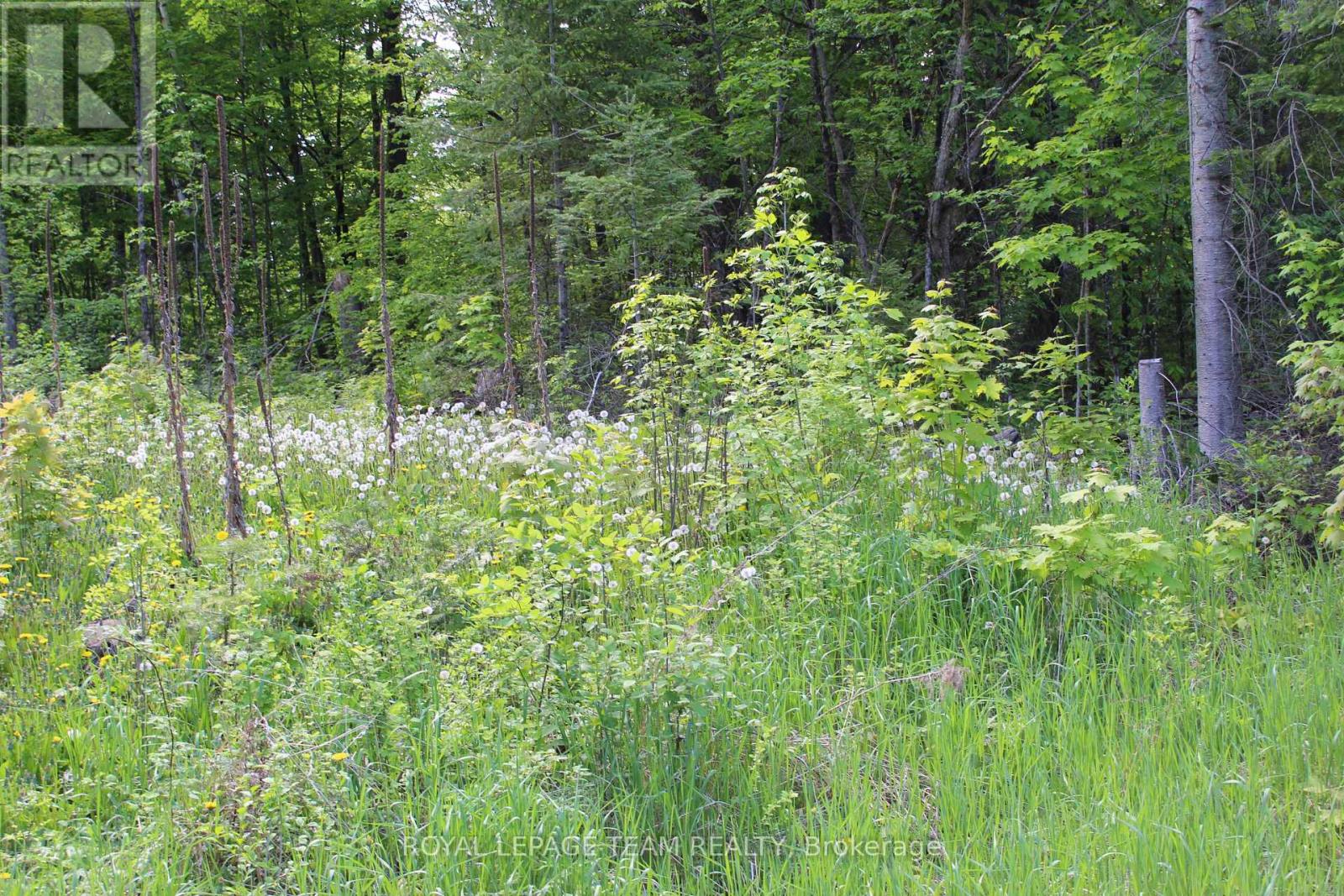 112 Mitchell Lane, Mcnab/braeside, Ontario  K7S 3G8 - Photo 8 - X13210422
