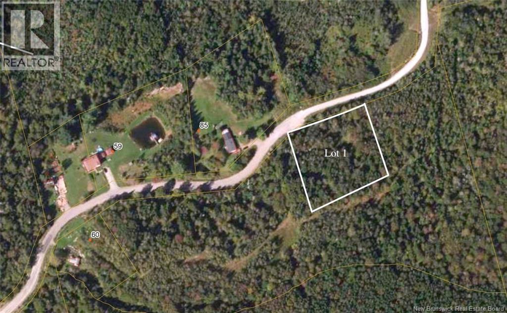 Lot 1 Smith Road, Titusville, New Brunswick  E5N 3T8 - Photo 2 - NB140583