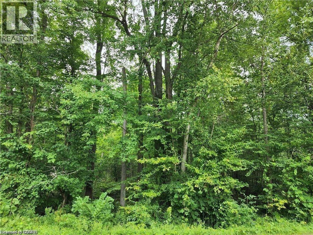 Pt Lot 20 7 Concession, Simcoe, Ontario  N3Y 4K1 - Photo 3 - 40834592