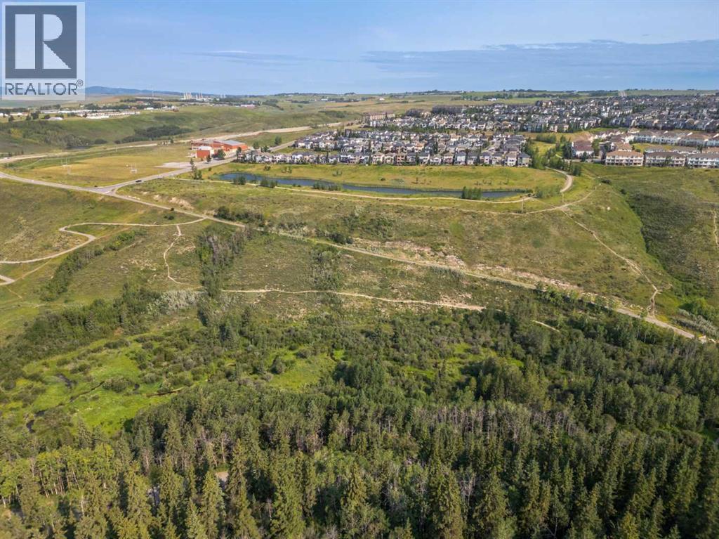 40 Sunvalley Road, Cochrane, Alberta  T4C 0X6 - Photo 34 - A2312593