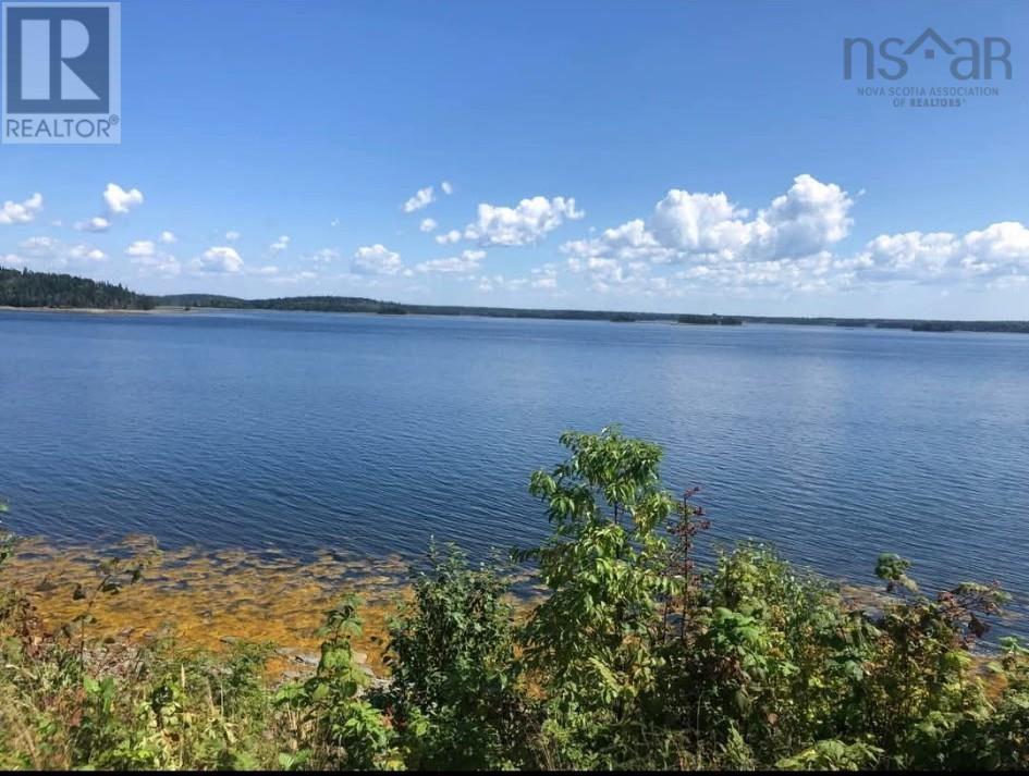 Lot (Pid 90037540) Highway 308, Morris Island, Nova Scotia  B0W 3M0 - Photo 6 - 202601252