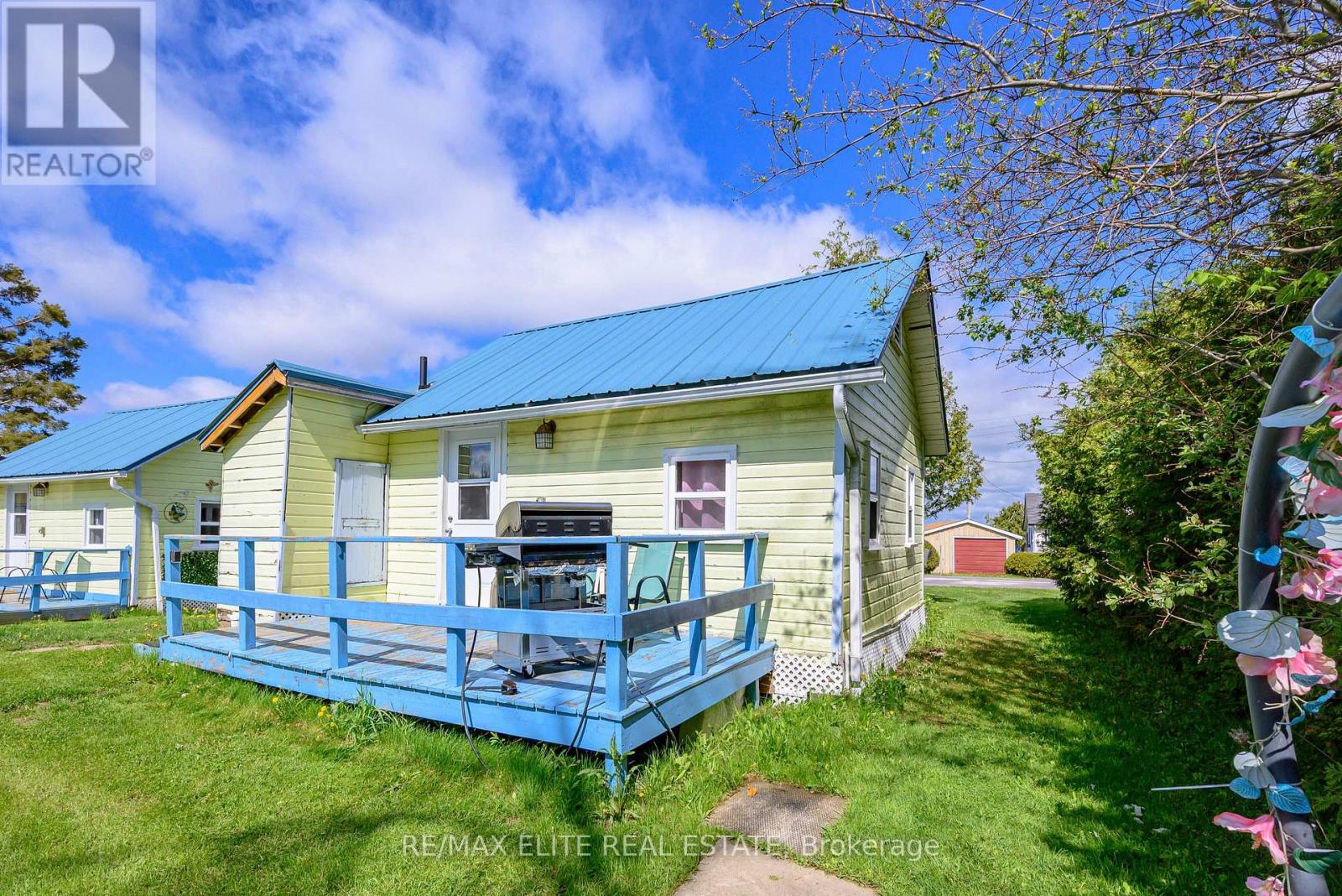10 Alexander Avenue, Kawartha Lakes, Ontario  K0M 1L0 - Photo 33 - X13210456
