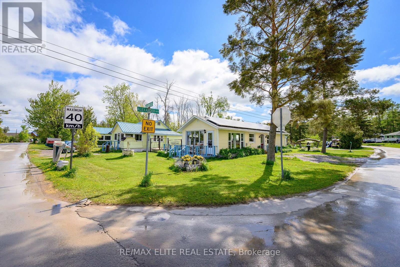 10 Alexander Avenue, Kawartha Lakes, Ontario  K0M 1L0 - Photo 49 - X13210456