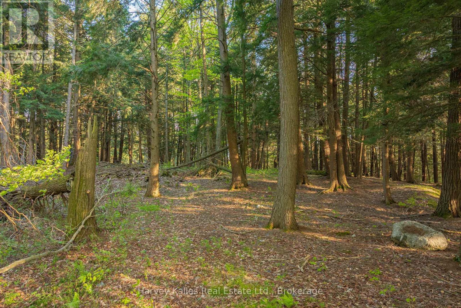 Lot #8 - 38 Gryffin Bluffs Lane, Huntsville, Ontario  P0B 1M0 - Photo 3 - X13210692