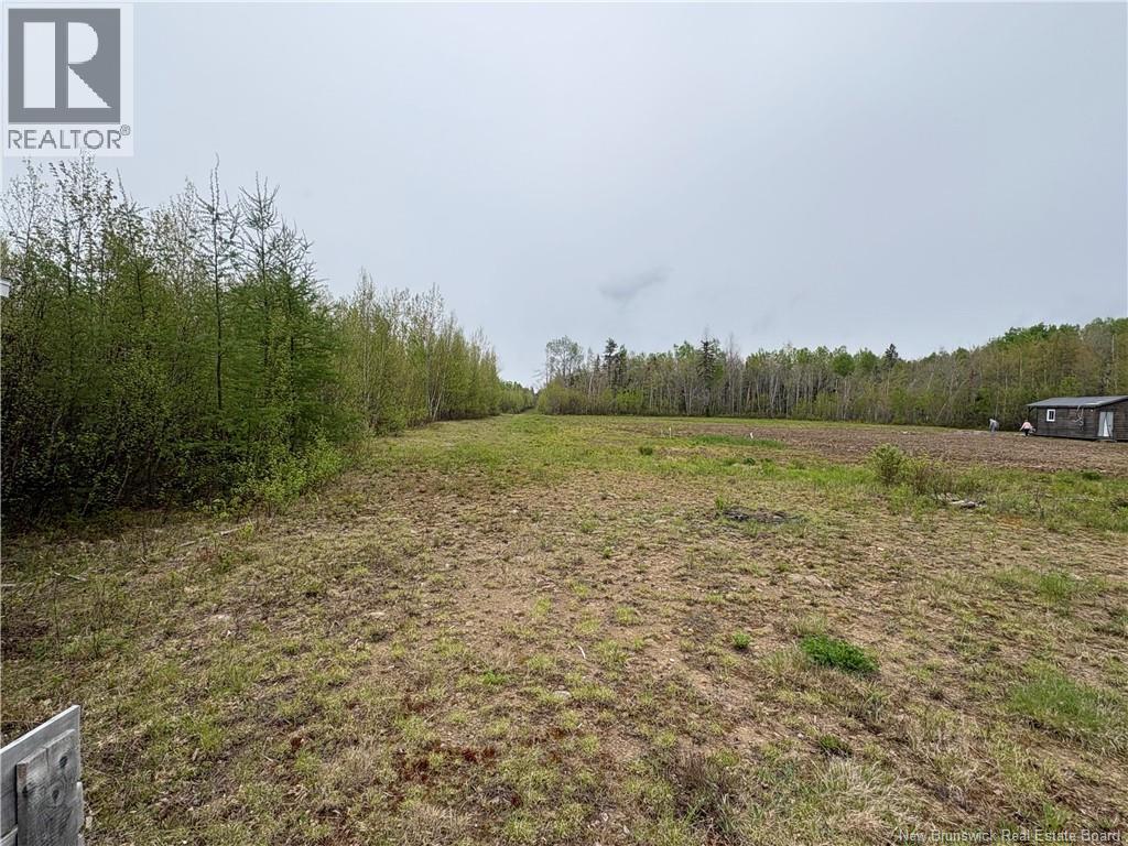 40.47 Hec Sapin Court, Rogersville, New Brunswick  E4Y 1W5 - Photo 6 - NB140477