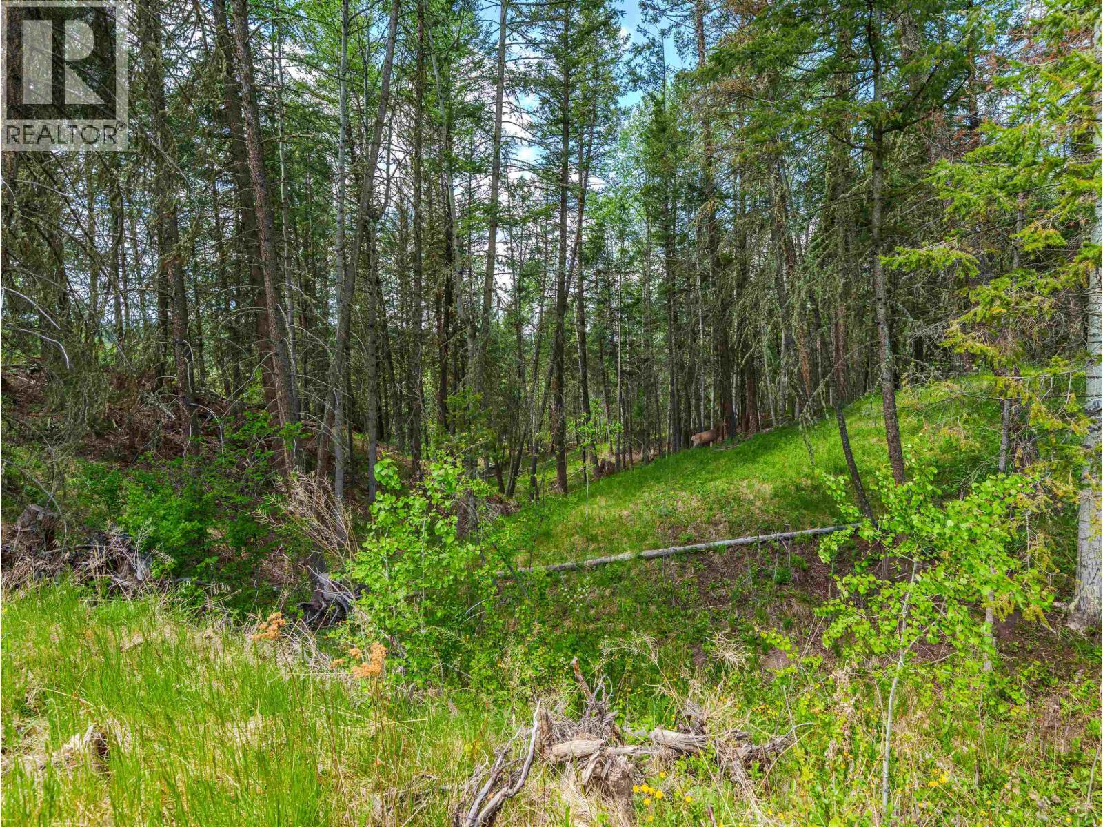 Lot 117 Block Drive, 108 Mile Ranch, British Columbia  V0K 2Z0 - Photo 15 - R3129411