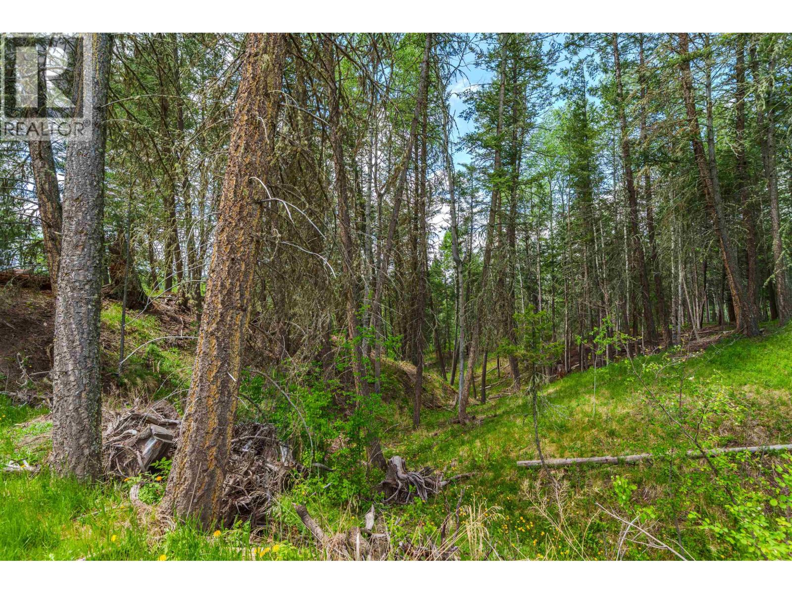 Lot 117 Block Drive, 108 Mile Ranch, British Columbia  V0K 2Z0 - Photo 5 - R3129411