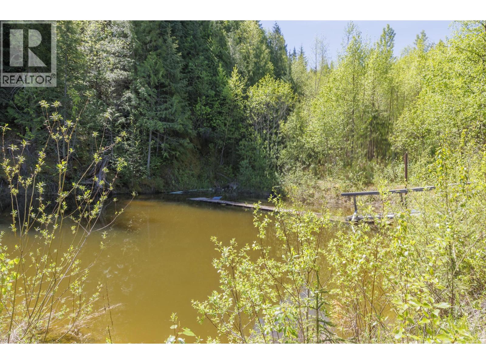 8985 Crescent Spur Road, Mcbride, British Columbia  V0J 2E0 - Photo 28 - R3129323