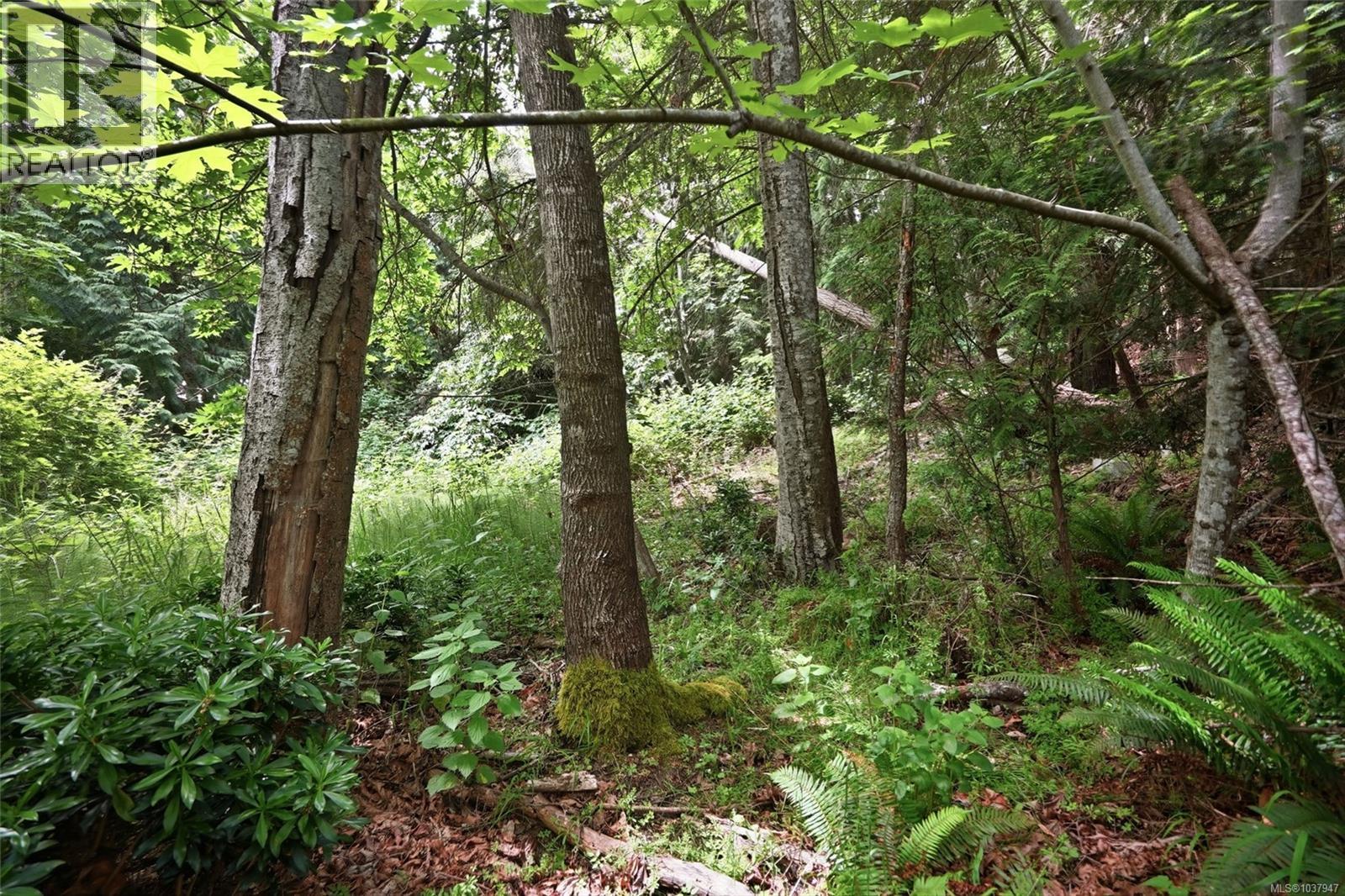 Lot 47 Dolphin Dr, Nanoose Bay, British Columbia  V9P 9J2 - Photo 5 - 1037947