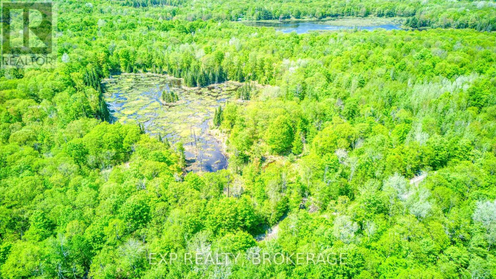 2250 Clarendon Road, Frontenac, Ontario  K0H 2P0 - Photo 10 - X13210982