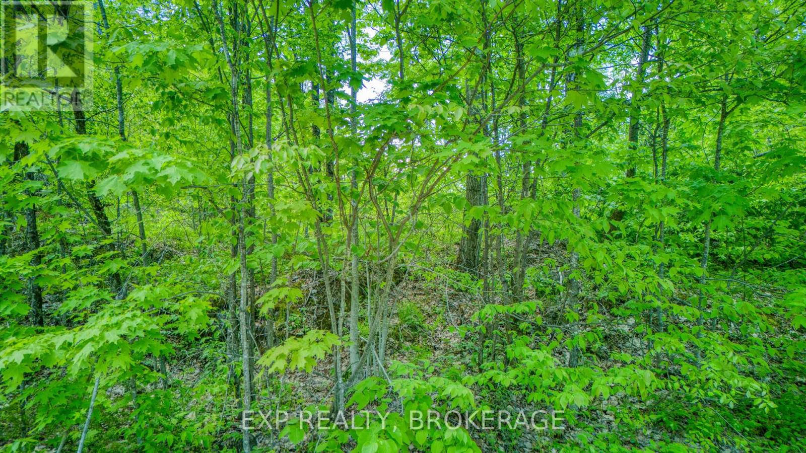2250 Clarendon Road, Frontenac, Ontario  K0H 2P0 - Photo 13 - X13210982