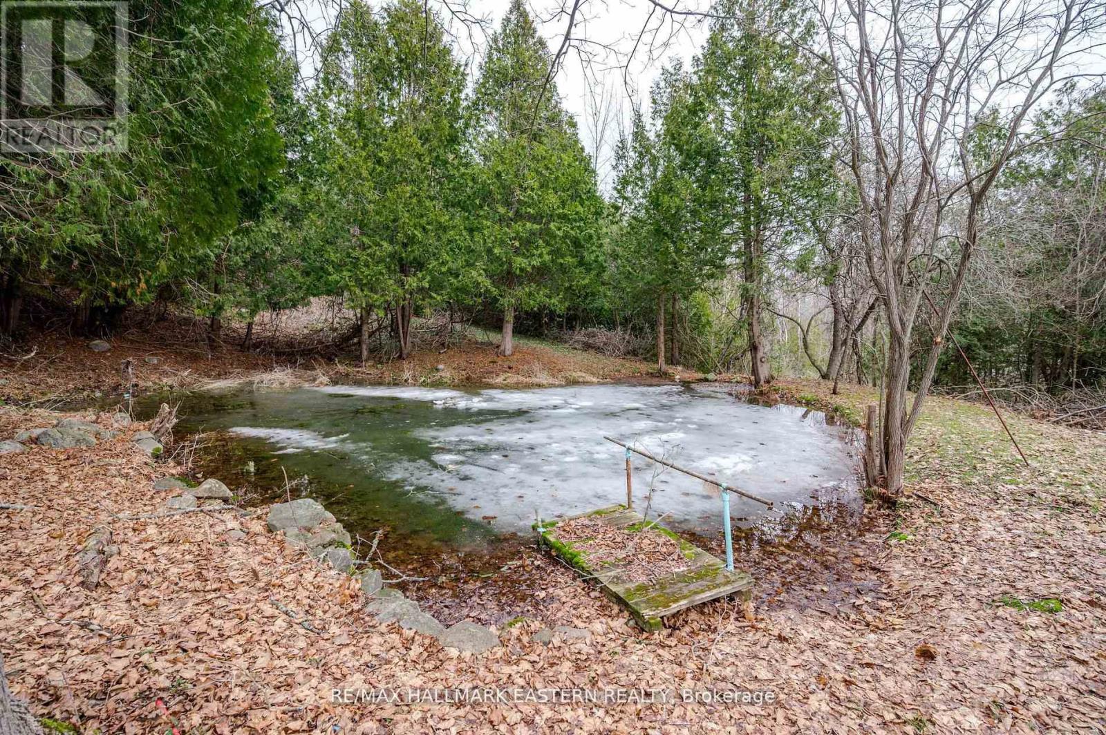 521 Concession Rd 8 W, Trent Hills, Ontario  K0L 1Y0 - Photo 2 - X13211010