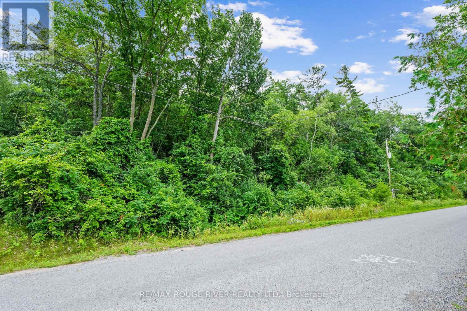 28 Bamsey Drive, Hamilton Township, Ontario  K0L 1E0 - Photo 16 - X13211088