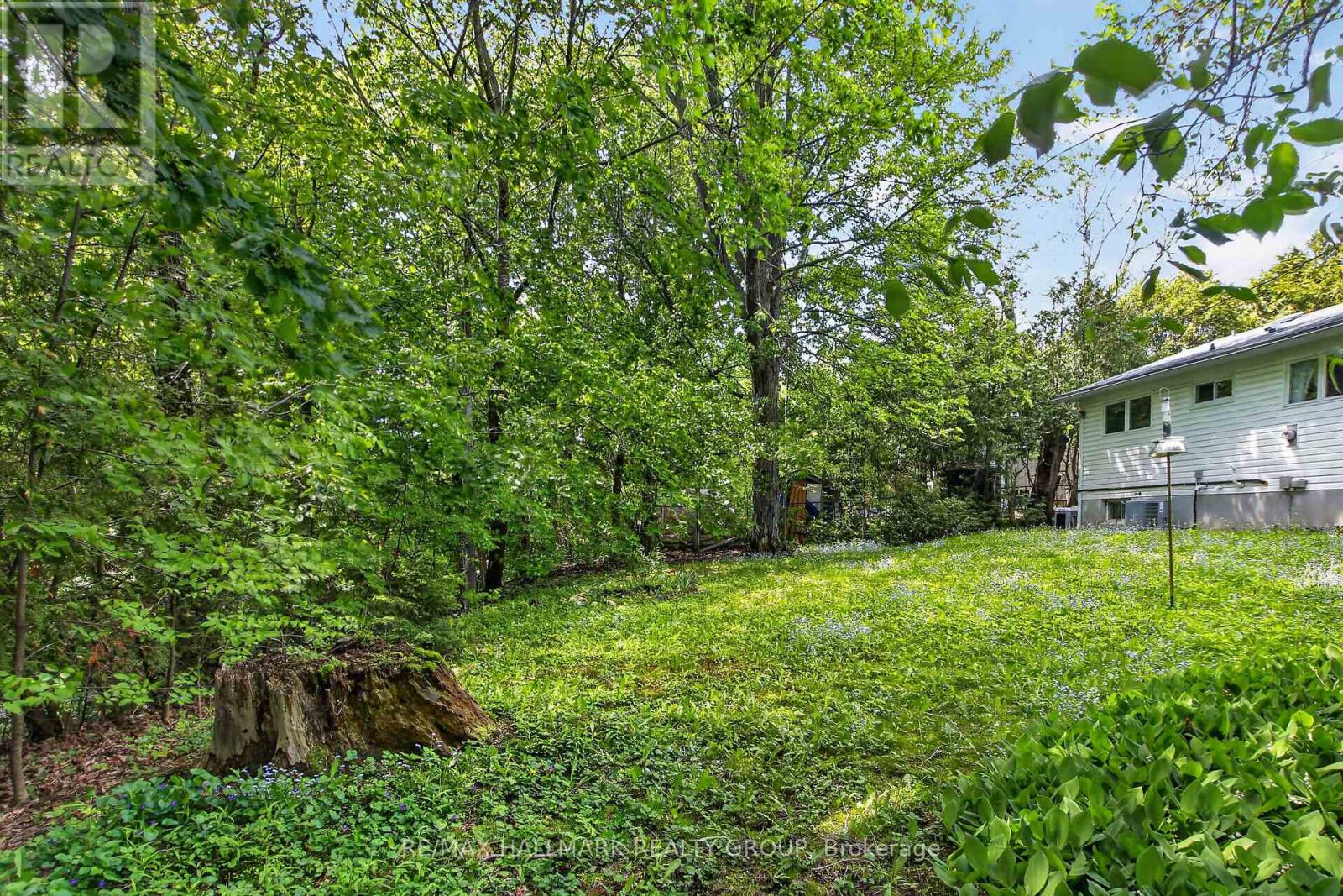41 Parkmount Crescent, Ottawa, Ontario  K2H 5T3 - Photo 8 - X13211038