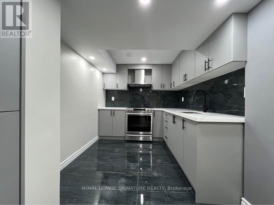 Bsmt - 60 Lofthouse Drive, Whitby, Ontario  L1R 1W5 - Photo 3 - E13040830