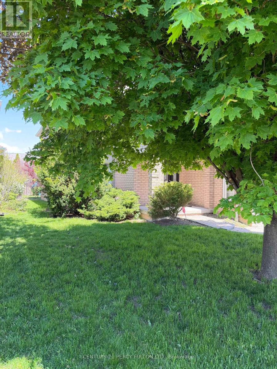 5393 Glen Erin Drive, Mississauga, Ontario  L5M 5C8 - Photo 46 - W13211146