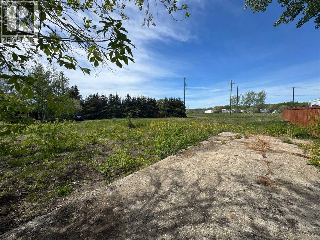 1119 7th Avenue, Beaverlodge, Alberta  T0H 0C0 - Photo 1 - A2315742