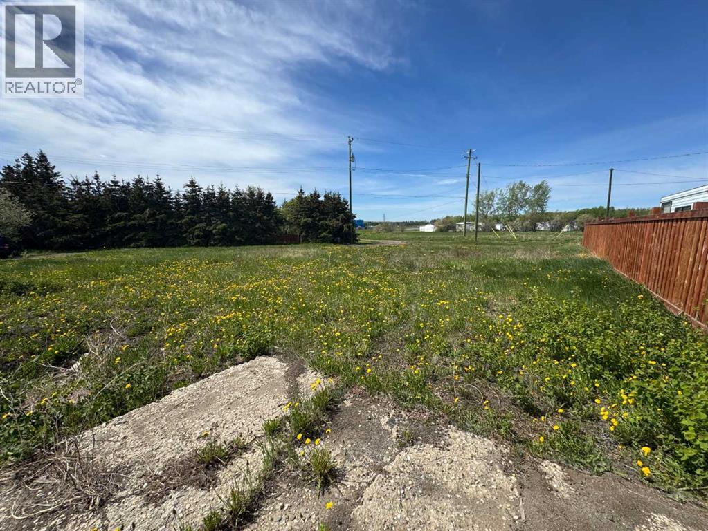 1119 7th Avenue, Beaverlodge, Alberta  T0H 0C0 - Photo 2 - A2315742