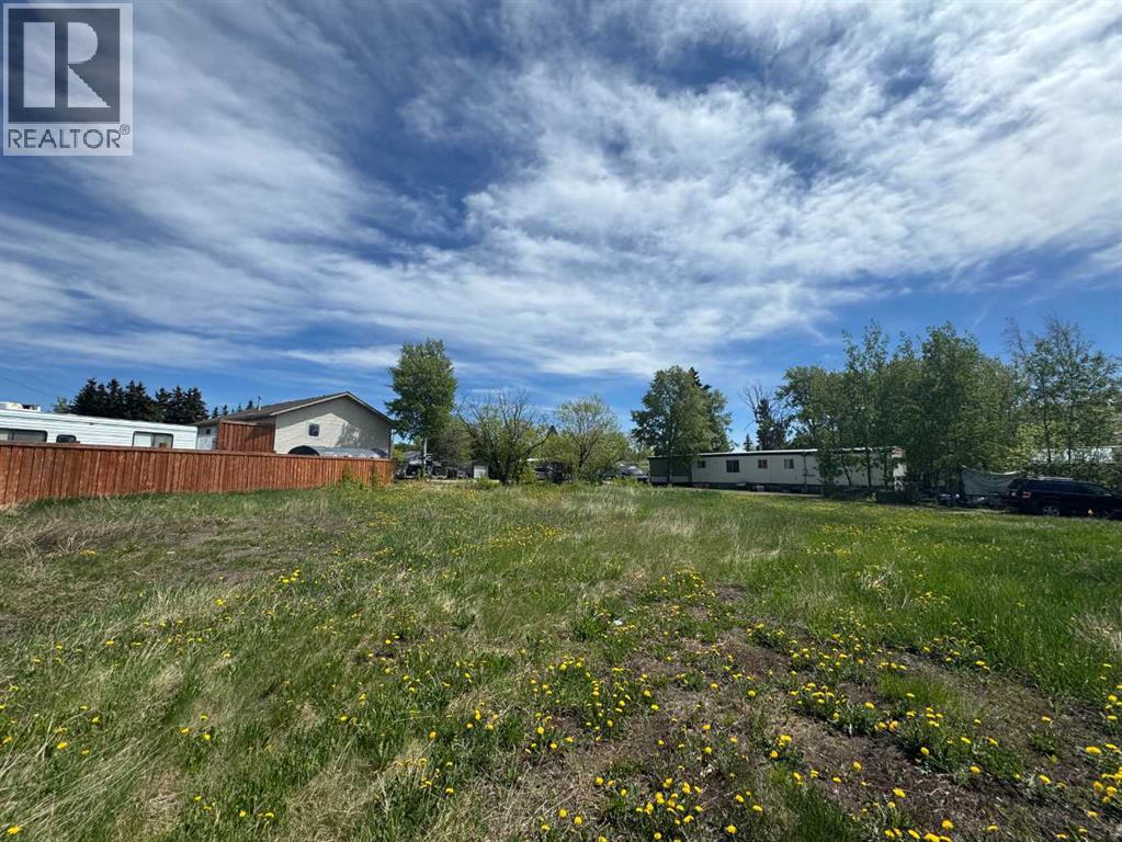 1119 7th Avenue, Beaverlodge, Alberta  T0H 0C0 - Photo 5 - A2315742