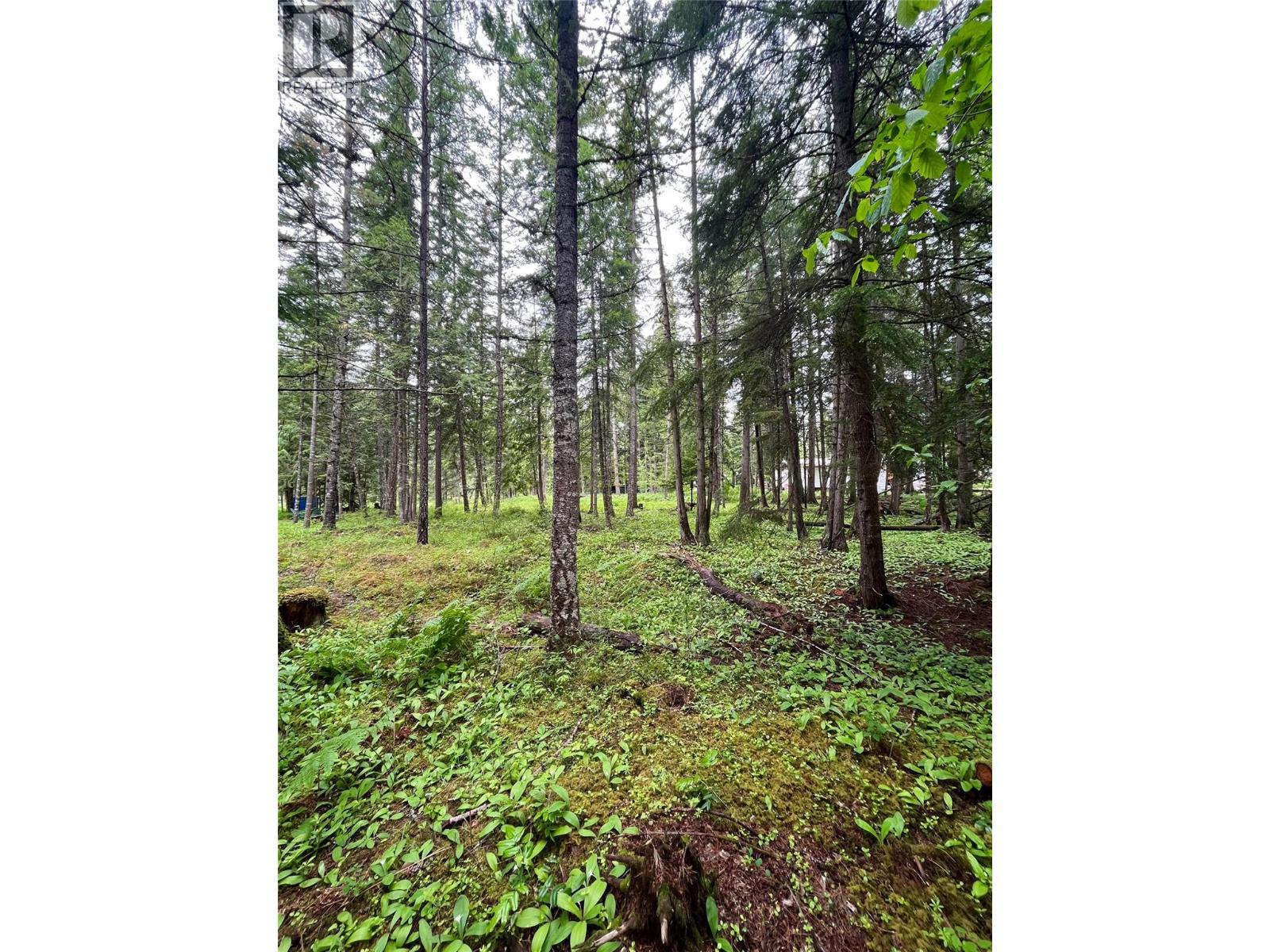 5619 6 Highway, Burton, British Columbia  V0G 1R0 - Photo 10 - 10389282