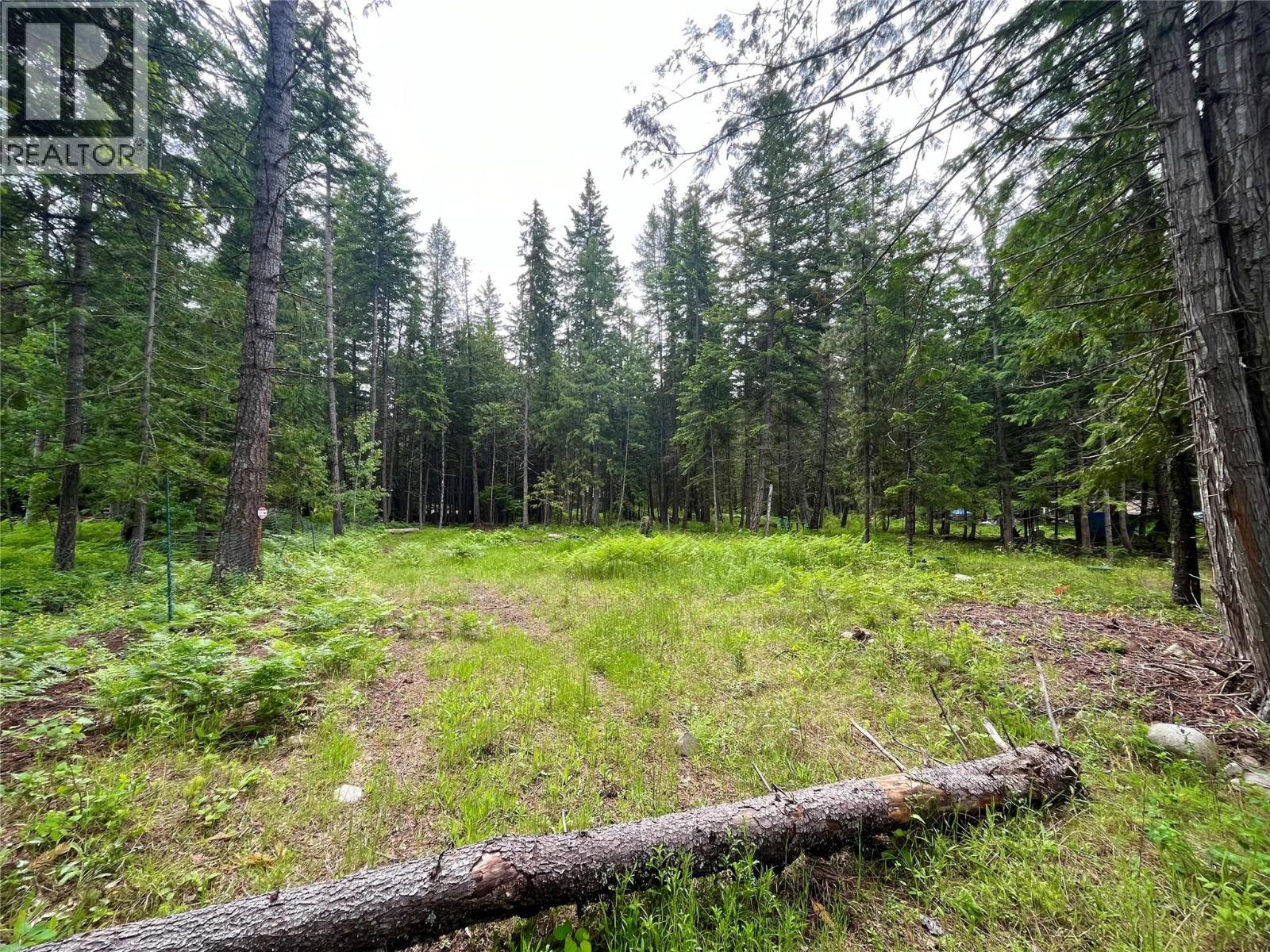 5619 6 Highway, Burton, British Columbia  V0G 1R0 - Photo 12 - 10389282