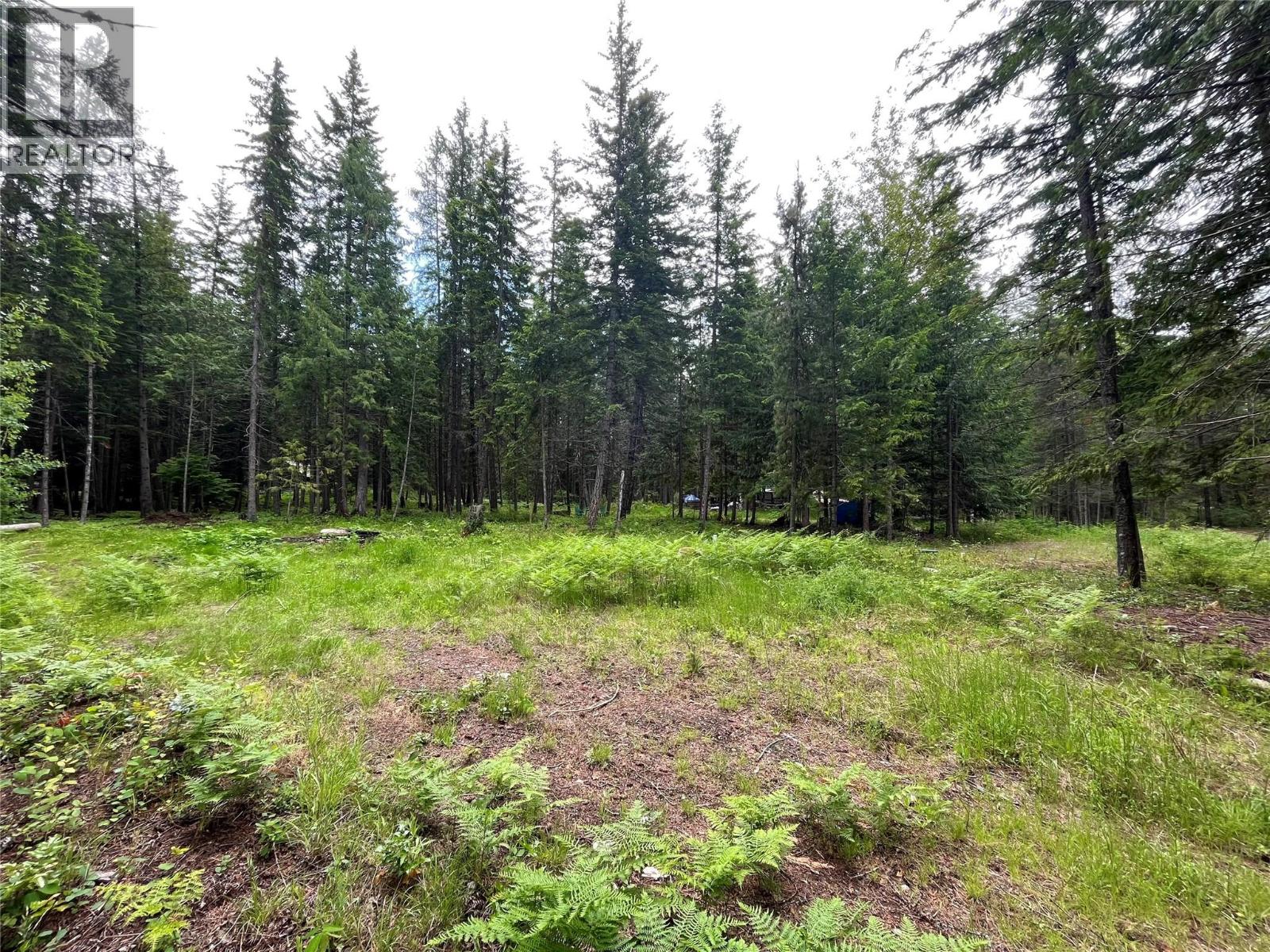 5619 6 Highway, Burton, British Columbia  V0G 1R0 - Photo 5 - 10389282