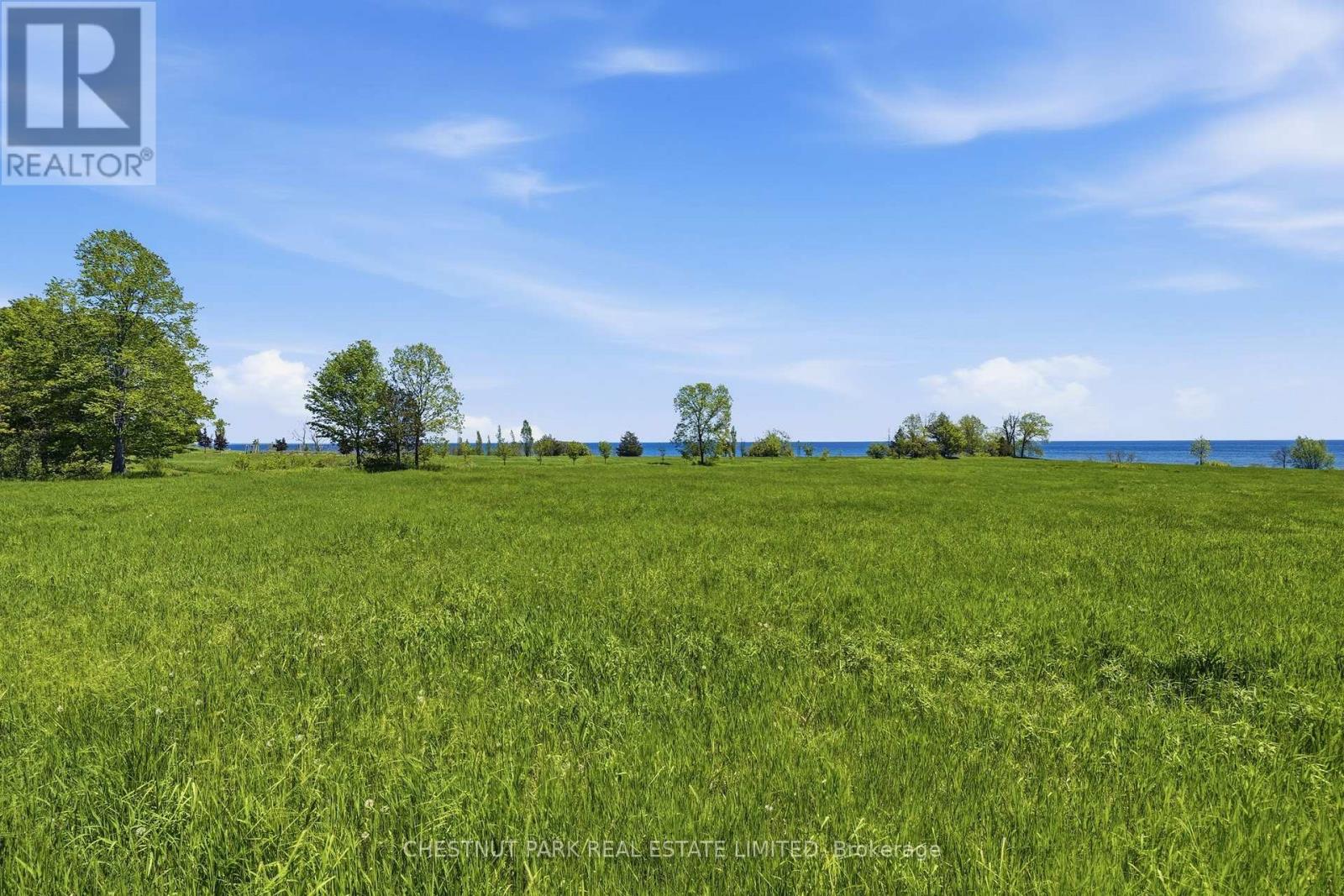 4176 County Road 8, Prince Edward County, Ontario K0K 2T0 - Photo 12 - X12862104