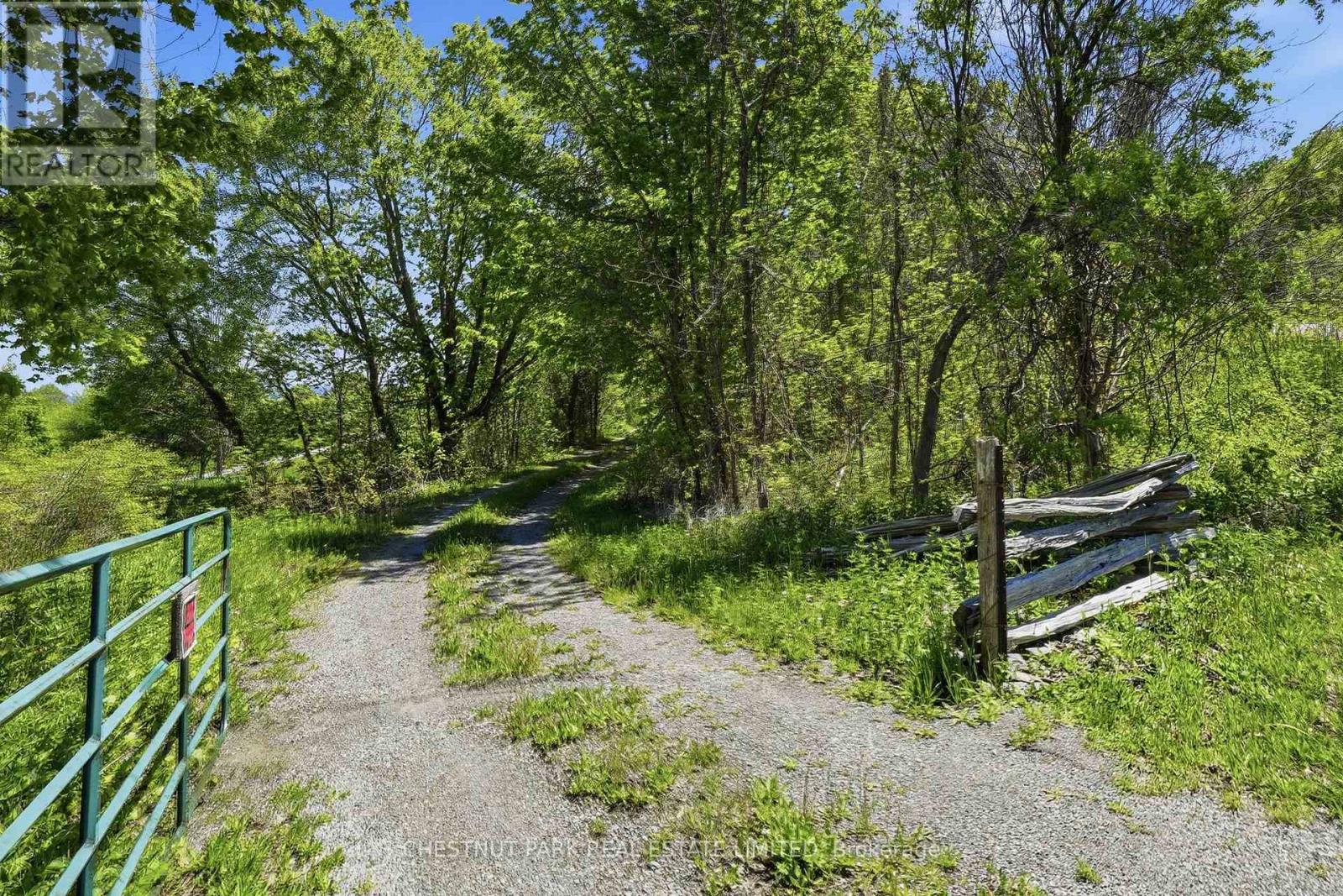 4176 County Road 8, Prince Edward County, Ontario K0K 2T0 - Photo 3 - X12862104