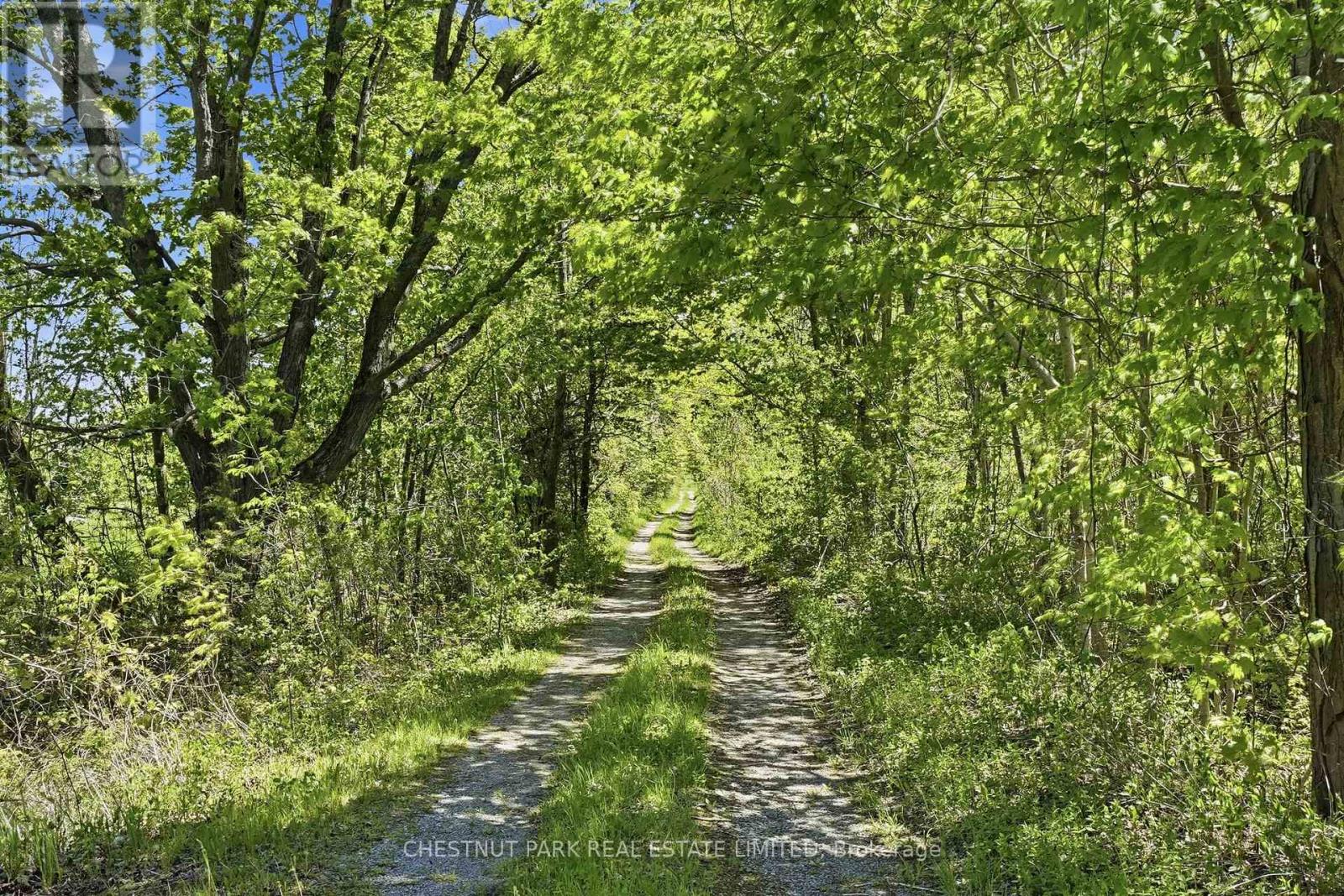 4176 County Road 8, Prince Edward County, Ontario K0K 2T0 - Photo 4 - X12862104