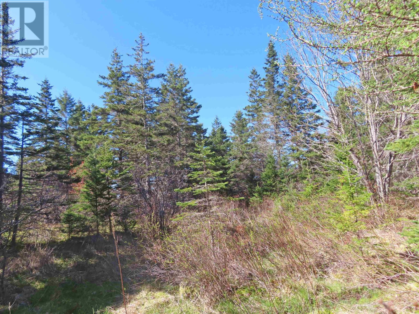 Lot 2 Old Trunk 4 Highway, Soldiers Cove, Nova Scotia  B0E 3B0 - Photo 13 - 202415357