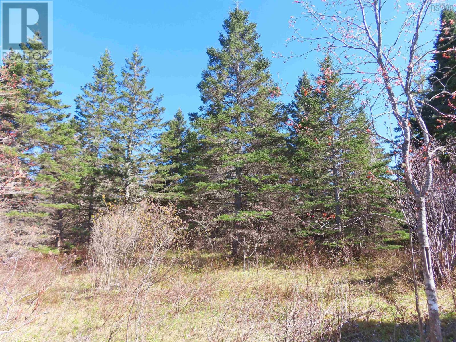 Lot 2 Old Trunk 4 Highway, Soldiers Cove, Nova Scotia  B0E 3B0 - Photo 16 - 202415357