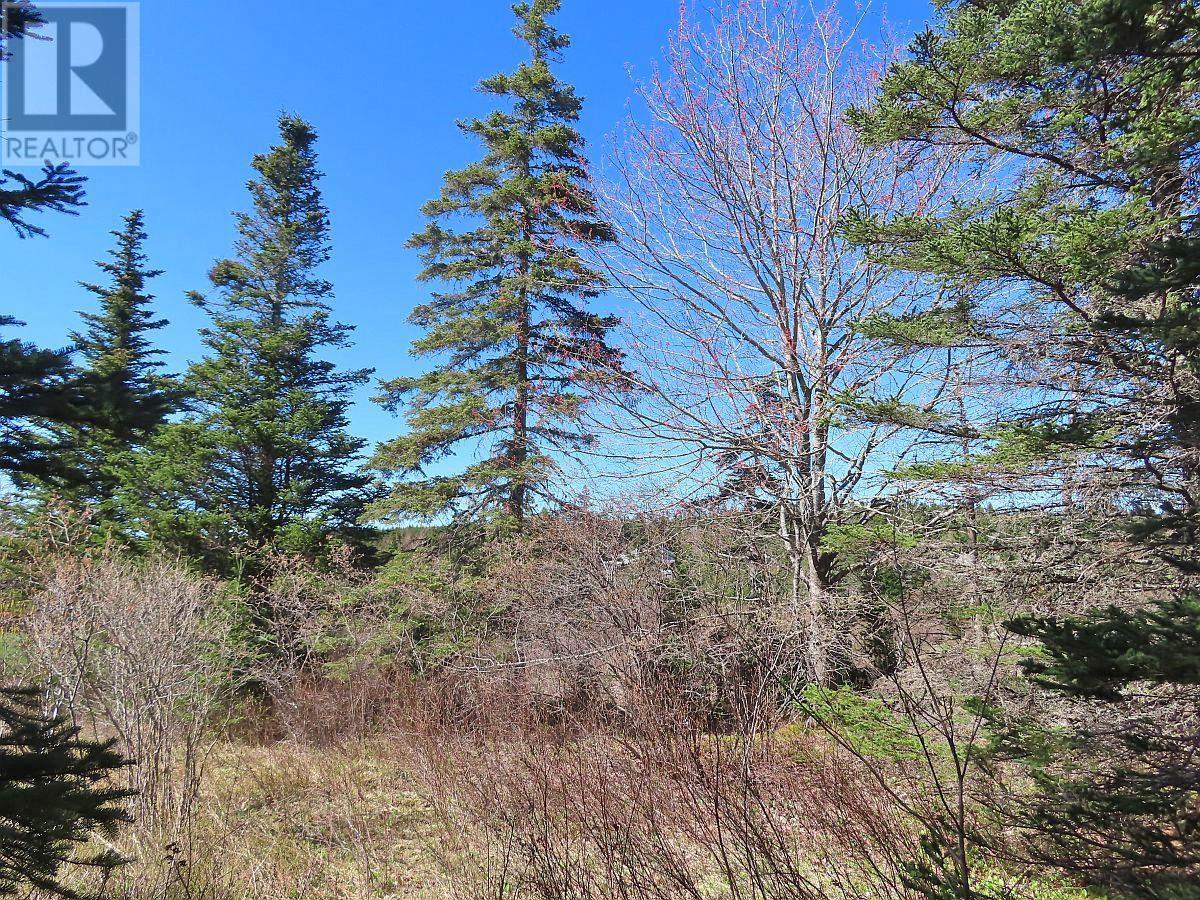 Lot 2 Old Trunk 4 Highway, Soldiers Cove, Nova Scotia  B0E 3B0 - Photo 12 - 202415357