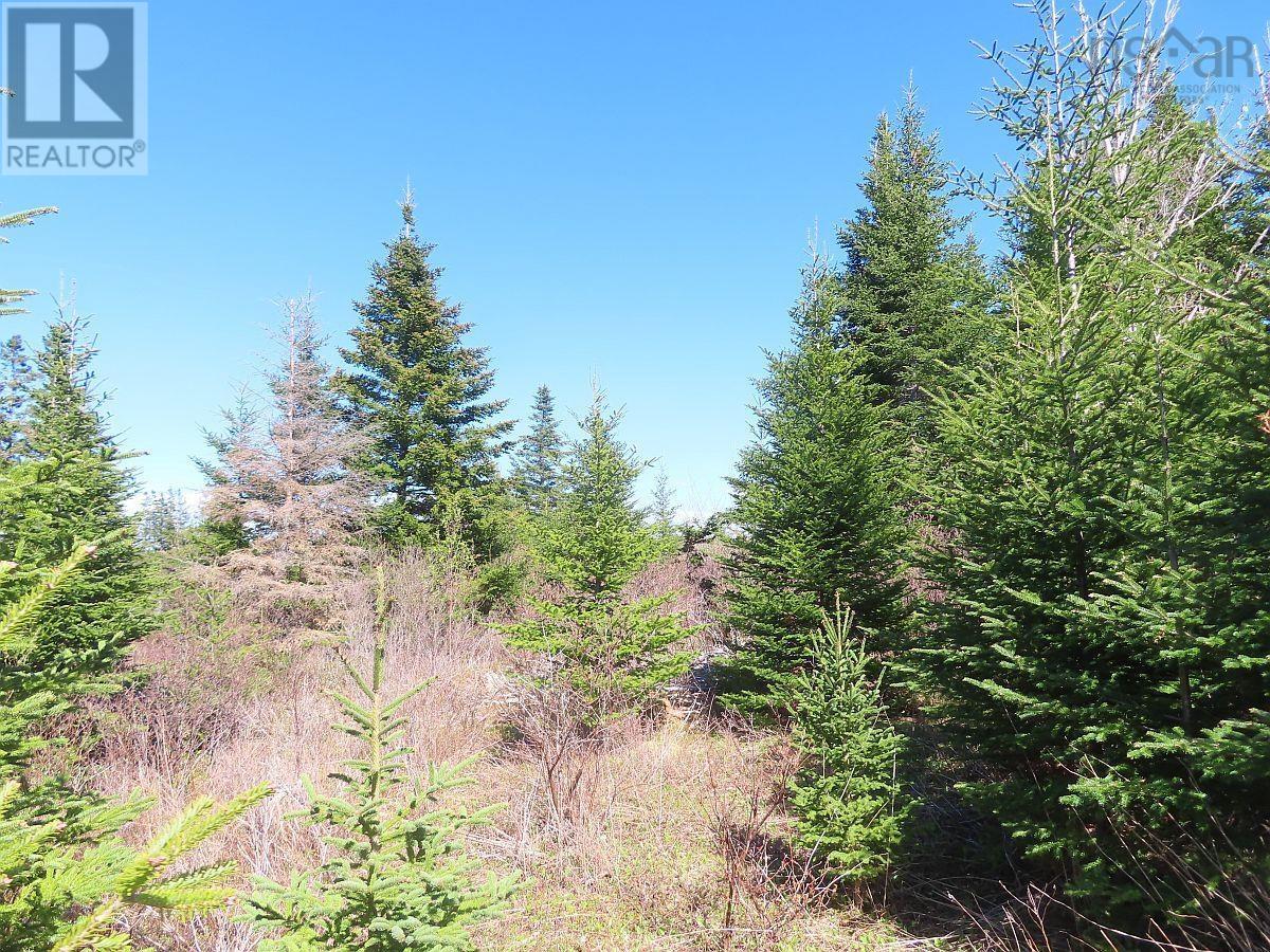 Lot 2 Old Trunk 4 Highway, Soldiers Cove, Nova Scotia  B0E 3B0 - Photo 18 - 202415357