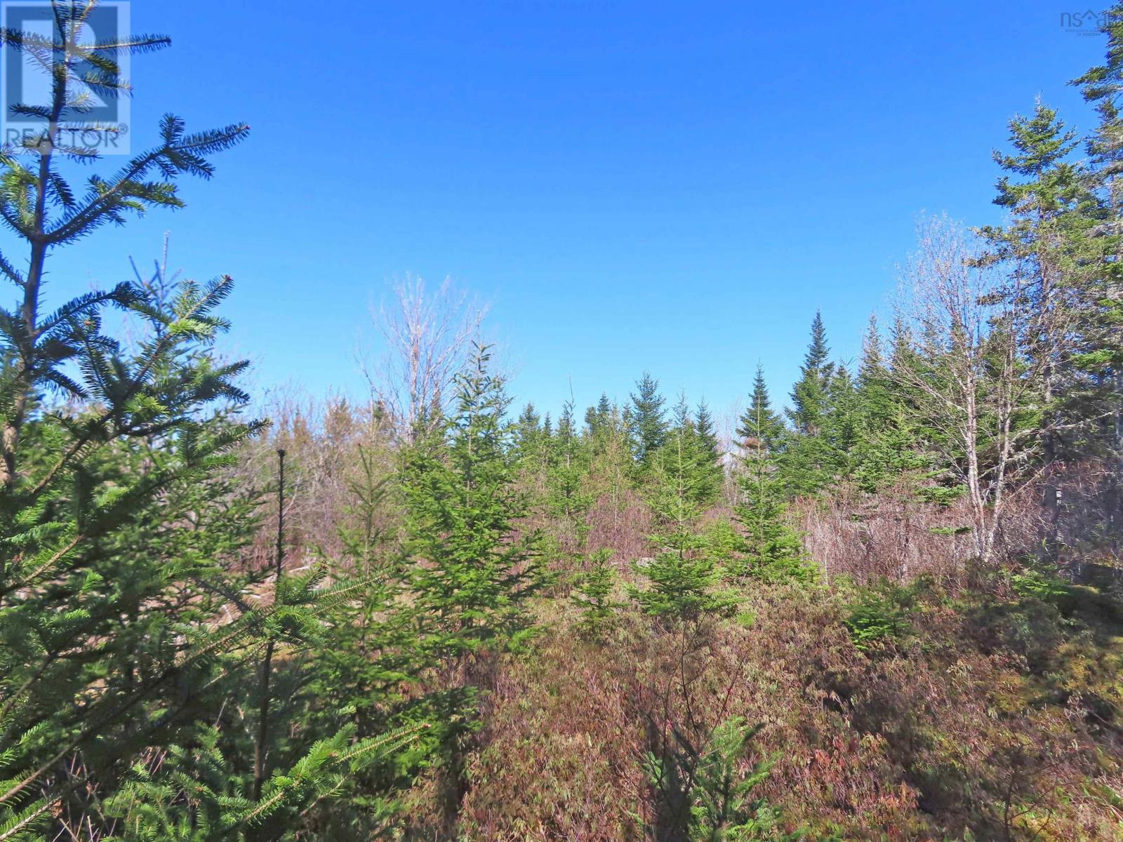 Lot 2 Old Trunk 4 Highway, Soldiers Cove, Nova Scotia  B0E 3B0 - Photo 10 - 202415357