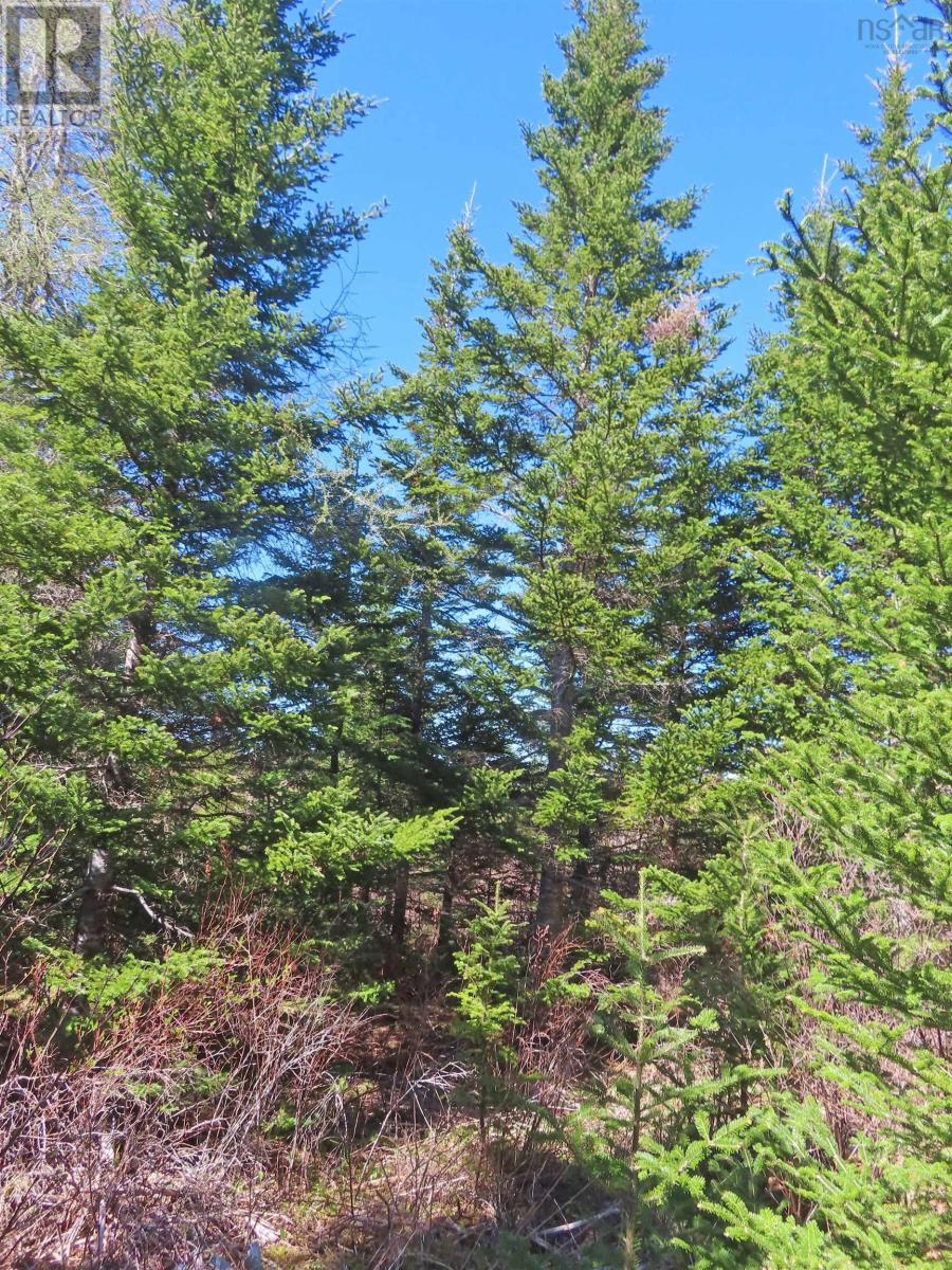 Lot 2 Old Trunk 4 Highway, Soldiers Cove, Nova Scotia  B0E 3B0 - Photo 20 - 202415357