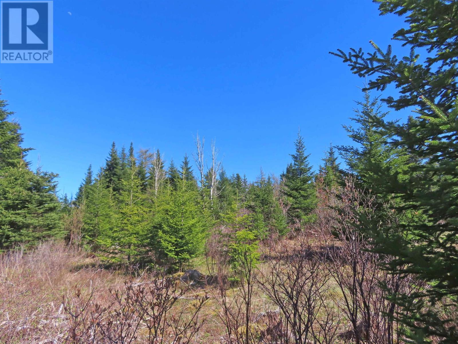 Lot 2 Old Trunk 4 Highway, Soldiers Cove, Nova Scotia  B0E 3B0 - Photo 17 - 202415357