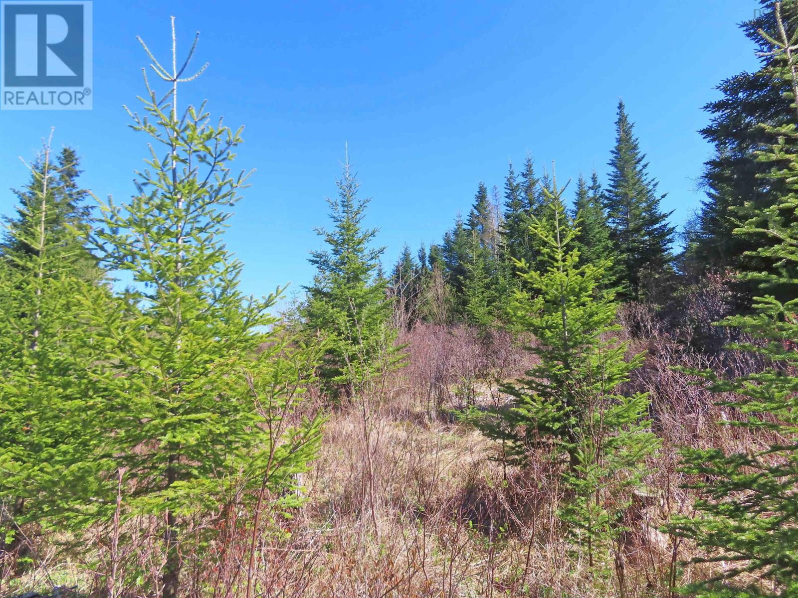 Lot 2 Old Trunk 4 Highway, Soldiers Cove, Nova Scotia  B0E 3B0 - Photo 8 - 202415357
