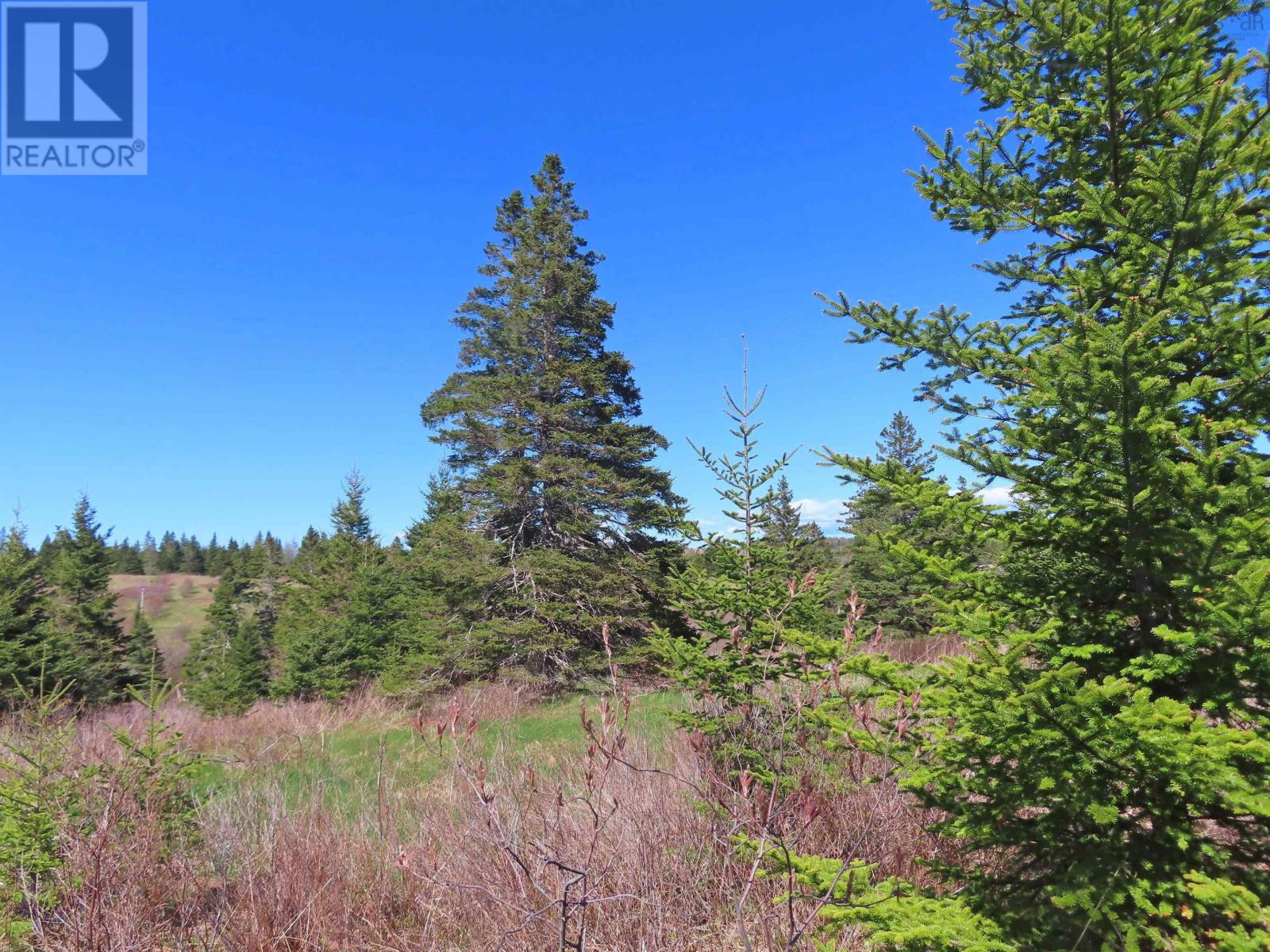 Lot 2 Old Trunk 4 Highway, Soldiers Cove, Nova Scotia  B0E 3B0 - Photo 7 - 202415357