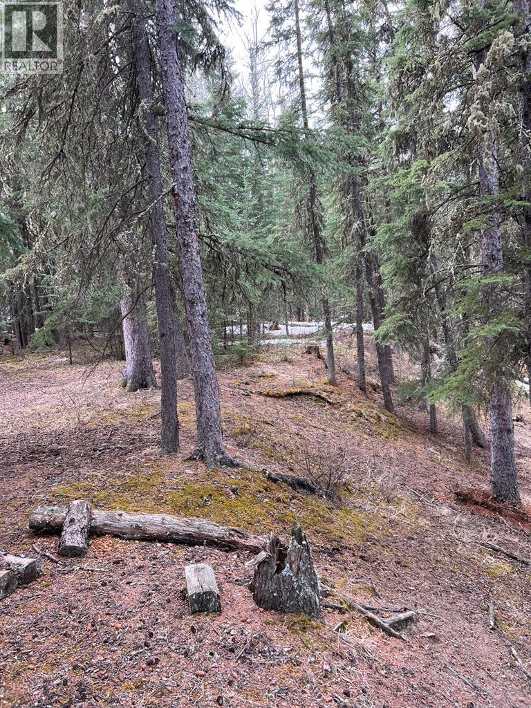 Sw-35-69-12-6 ., Elmworth, Alberta  T0H 1J0 - Photo 19 - A2302143