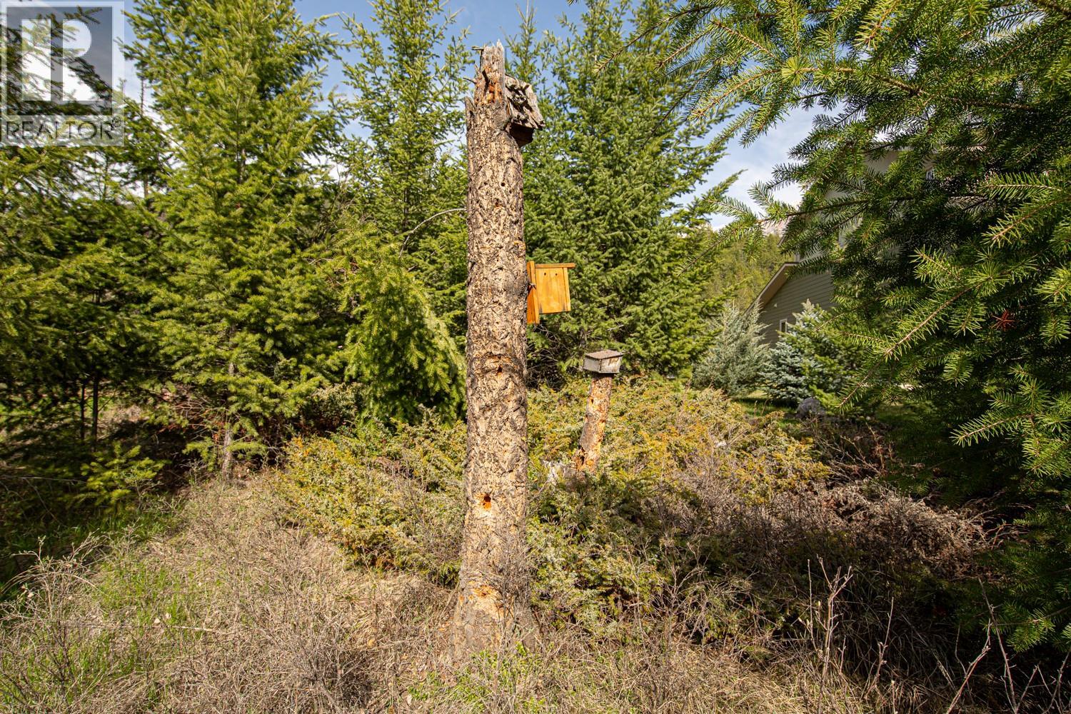 Lot 22 Mountain View Drive, Fairmont Hot Springs, British Columbia  V0B 1L1 - Photo 30 - 10388875