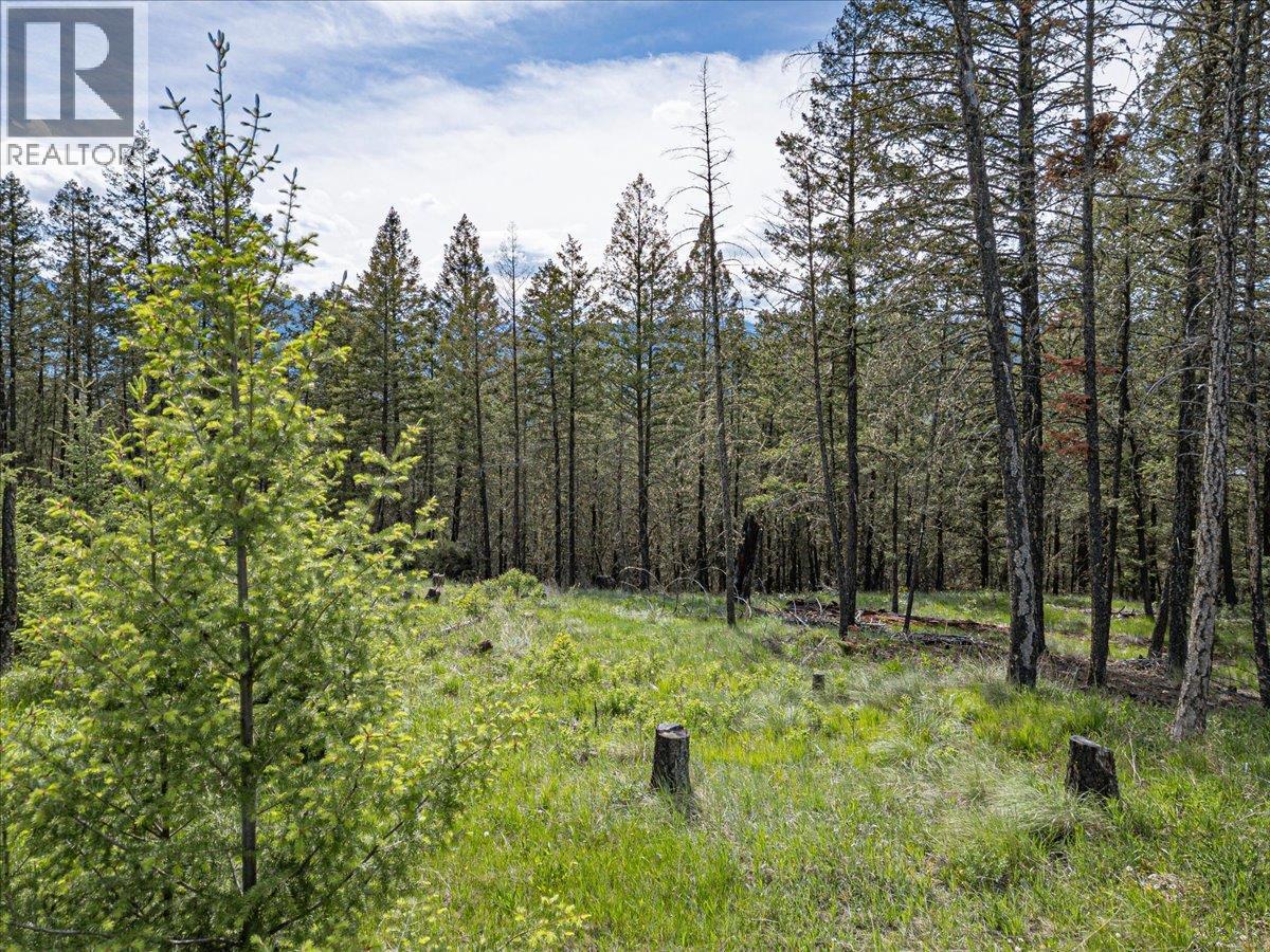 Lot 22 Mountain View Drive, Fairmont Hot Springs, British Columbia  V0B 1L1 - Photo 16 - 10388875