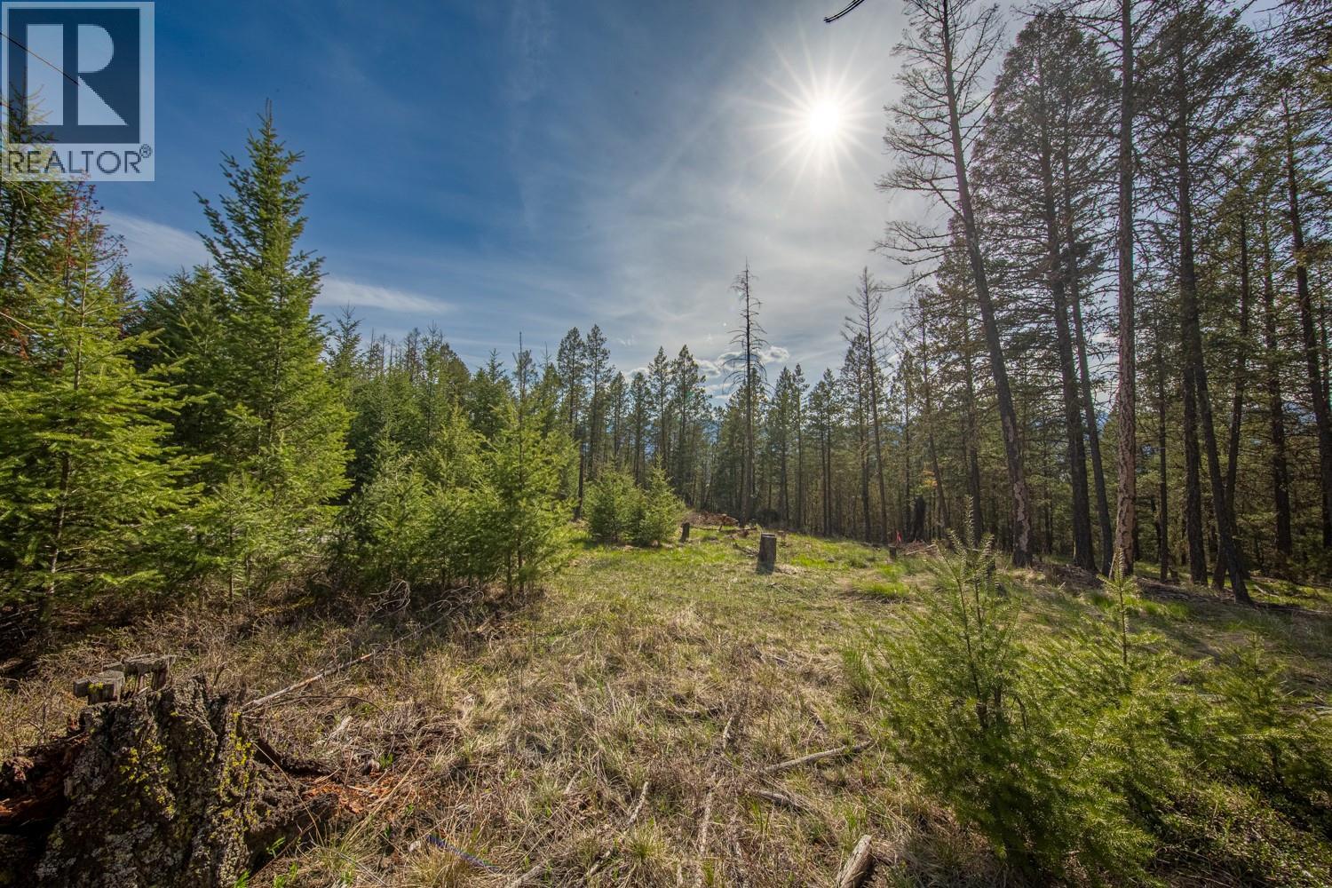 Lot 22 Mountain View Drive, Fairmont Hot Springs, British Columbia  V0B 1L1 - Photo 26 - 10388875